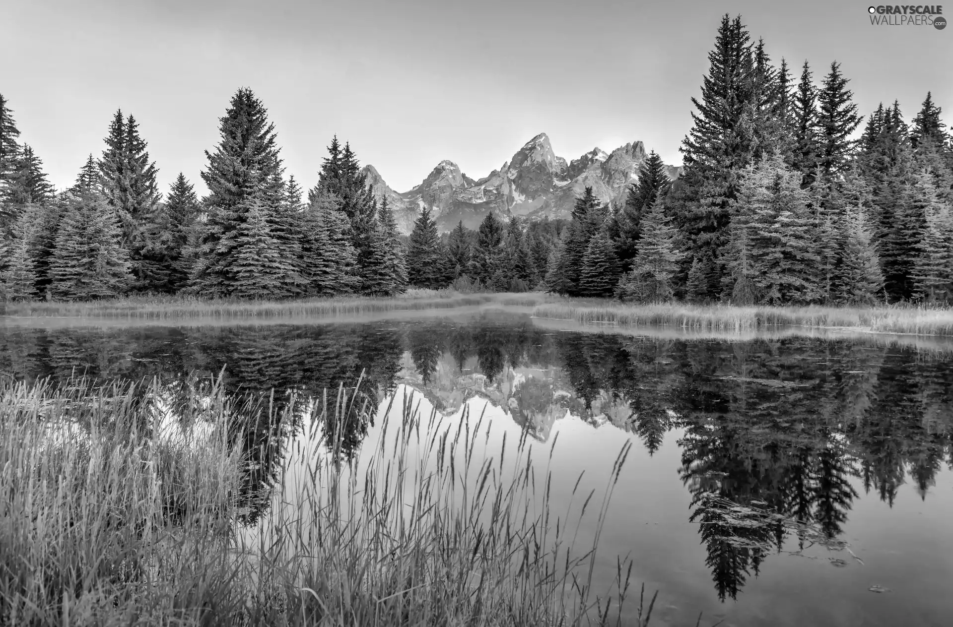 Grand Teton National Park, Snake River, viewes, Teton Range Mountains, trees, State of Wyoming, The United States, reflection