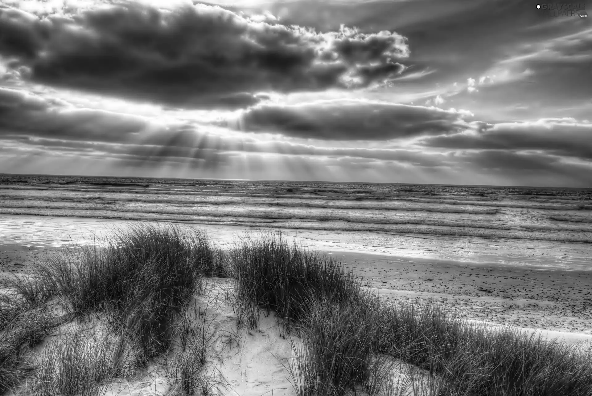 sea, clouds, grass, Beaches