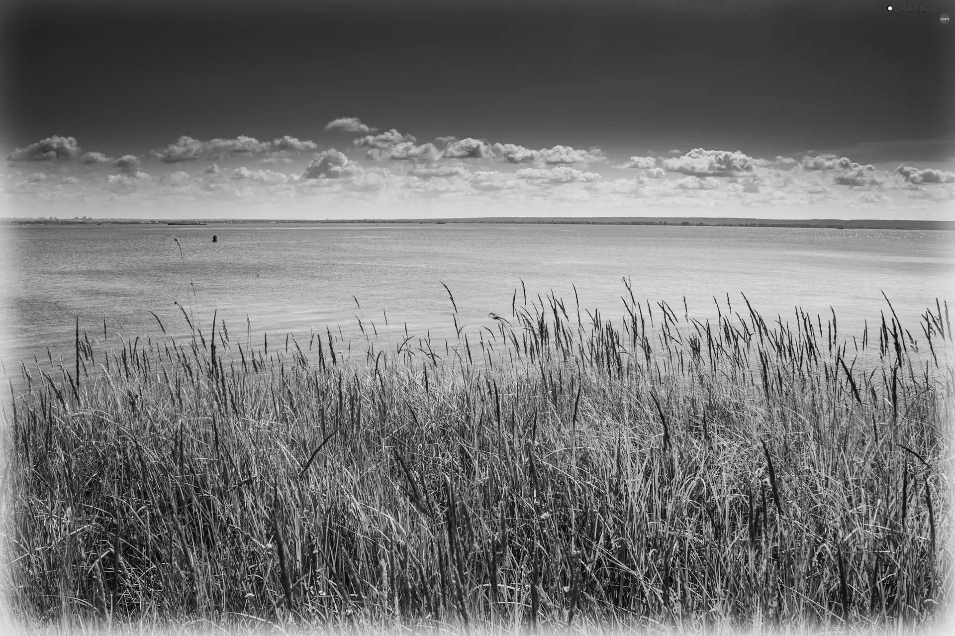 grass, clouds, sea