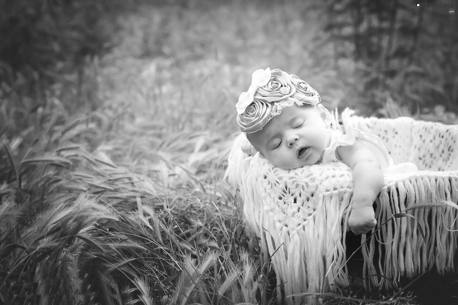 small, basket, grass, girl