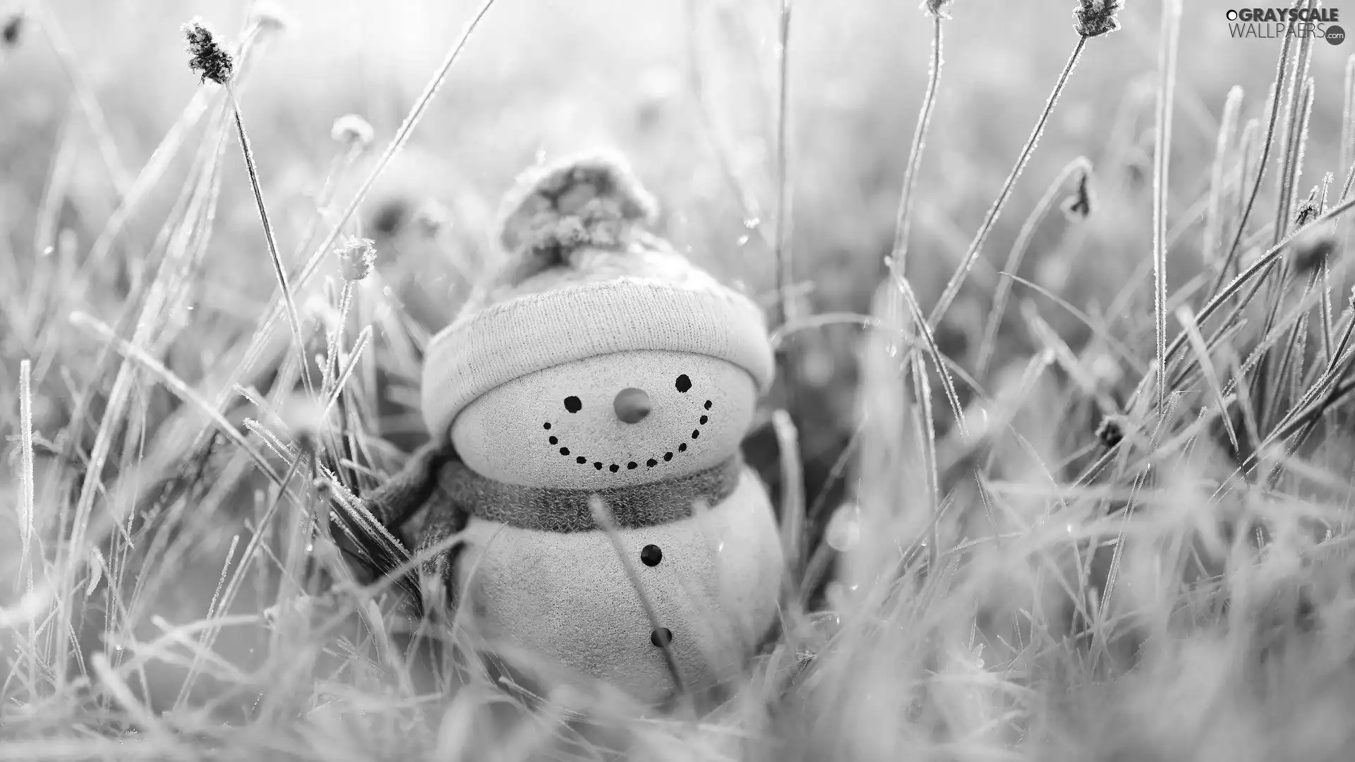 Hat, decoration, frosted, grass, Scarf, Snowman