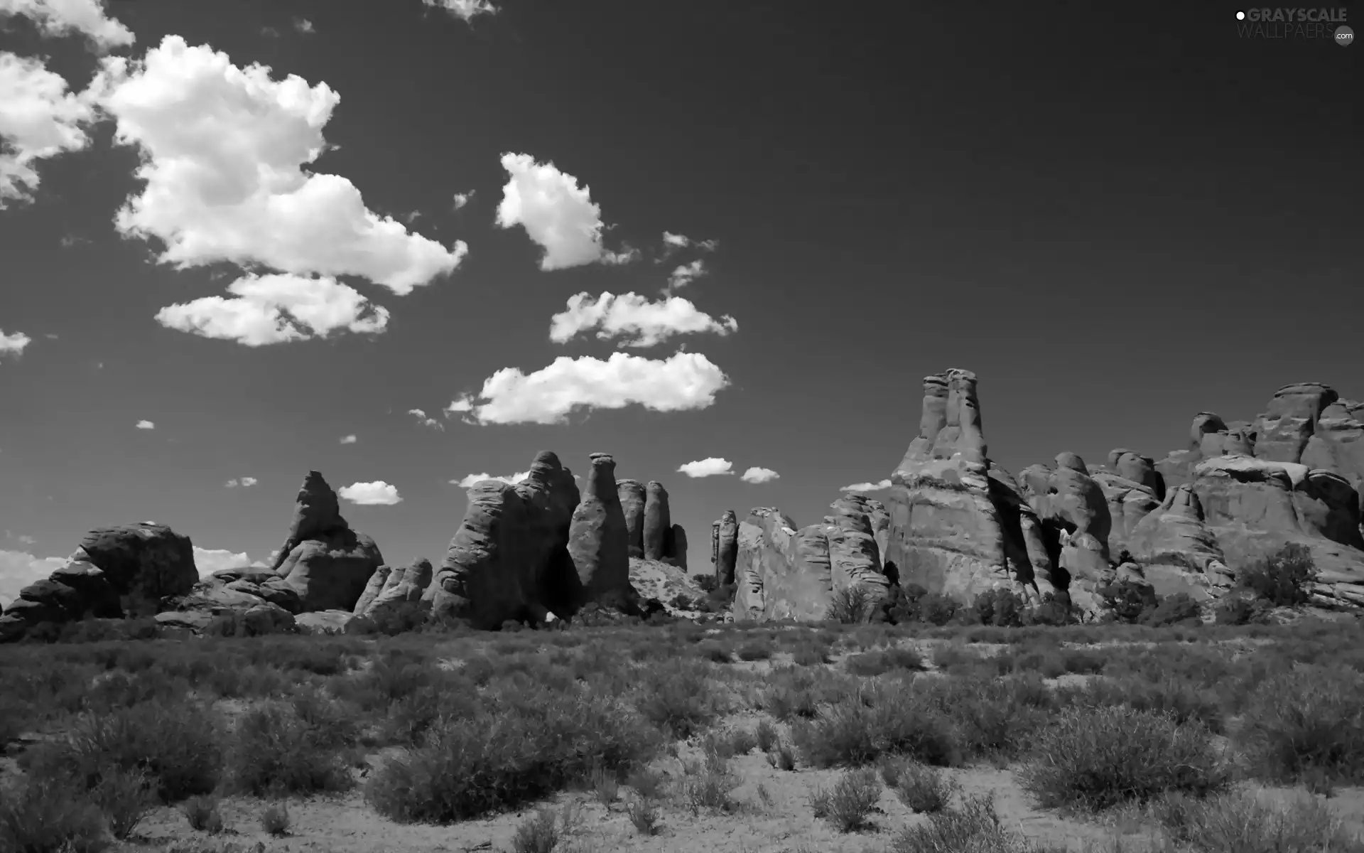 canyon, Clumps, grass, Stones rocks