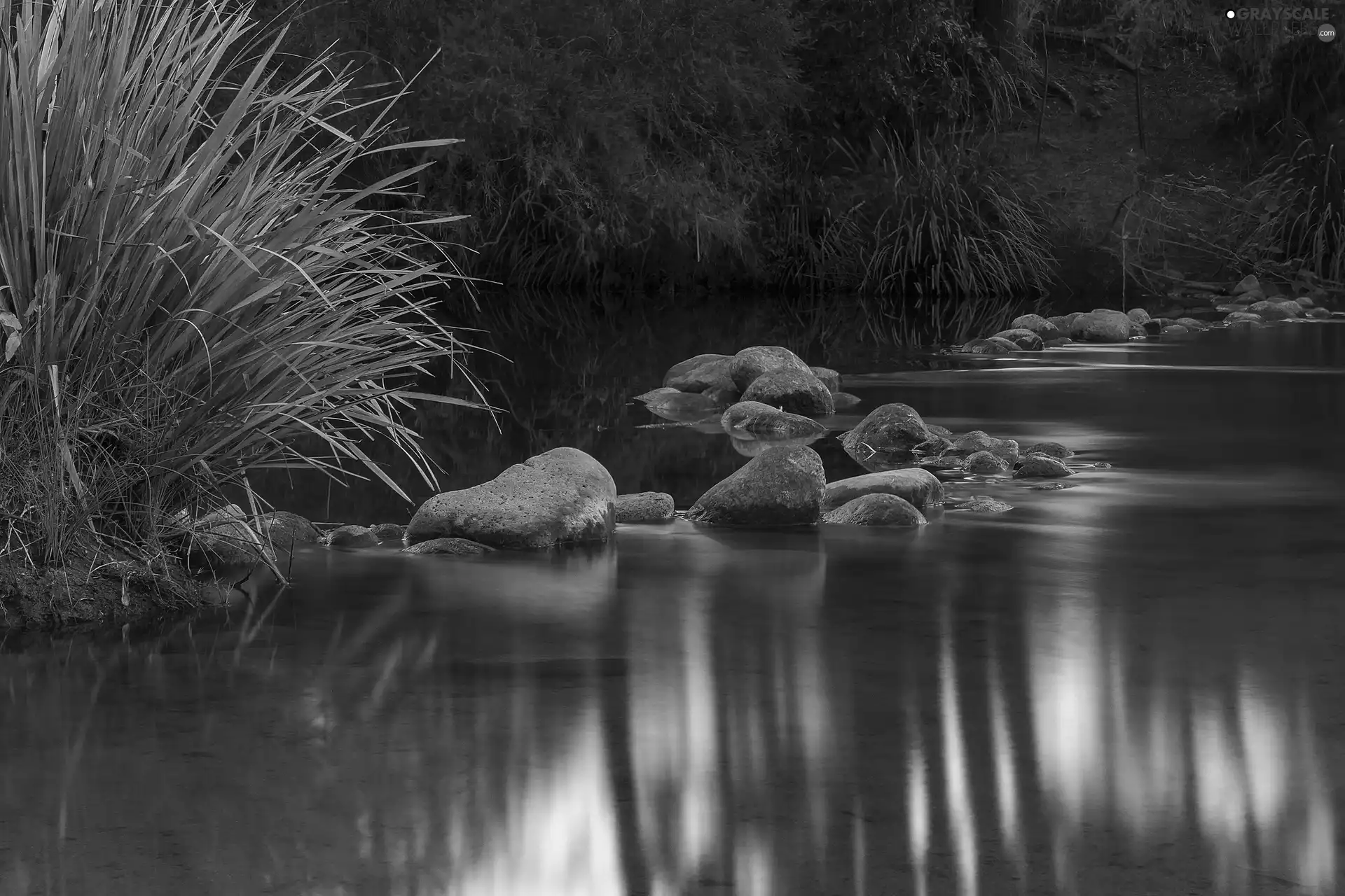 grass, River, Stones