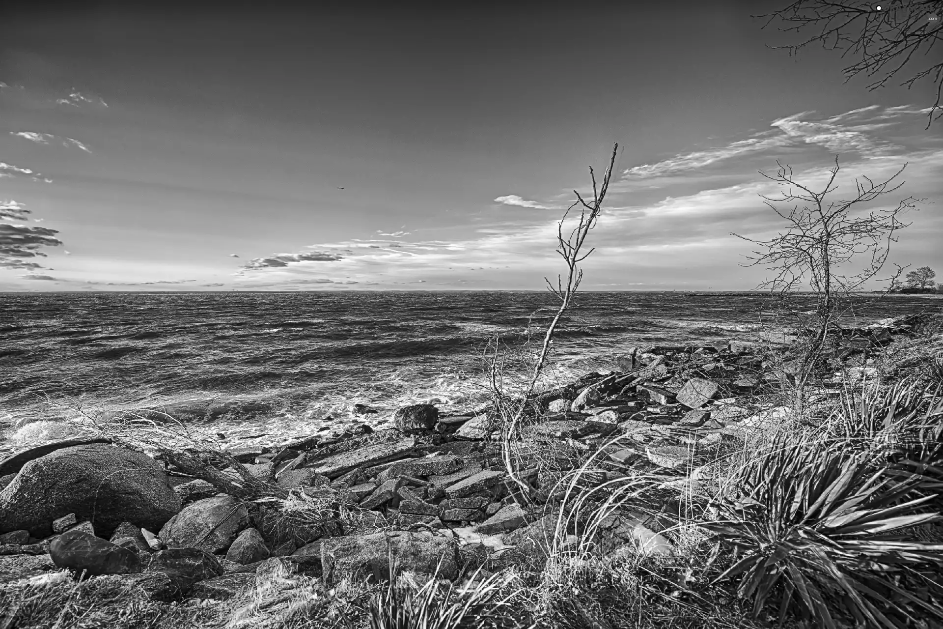 grass, sea, Stones