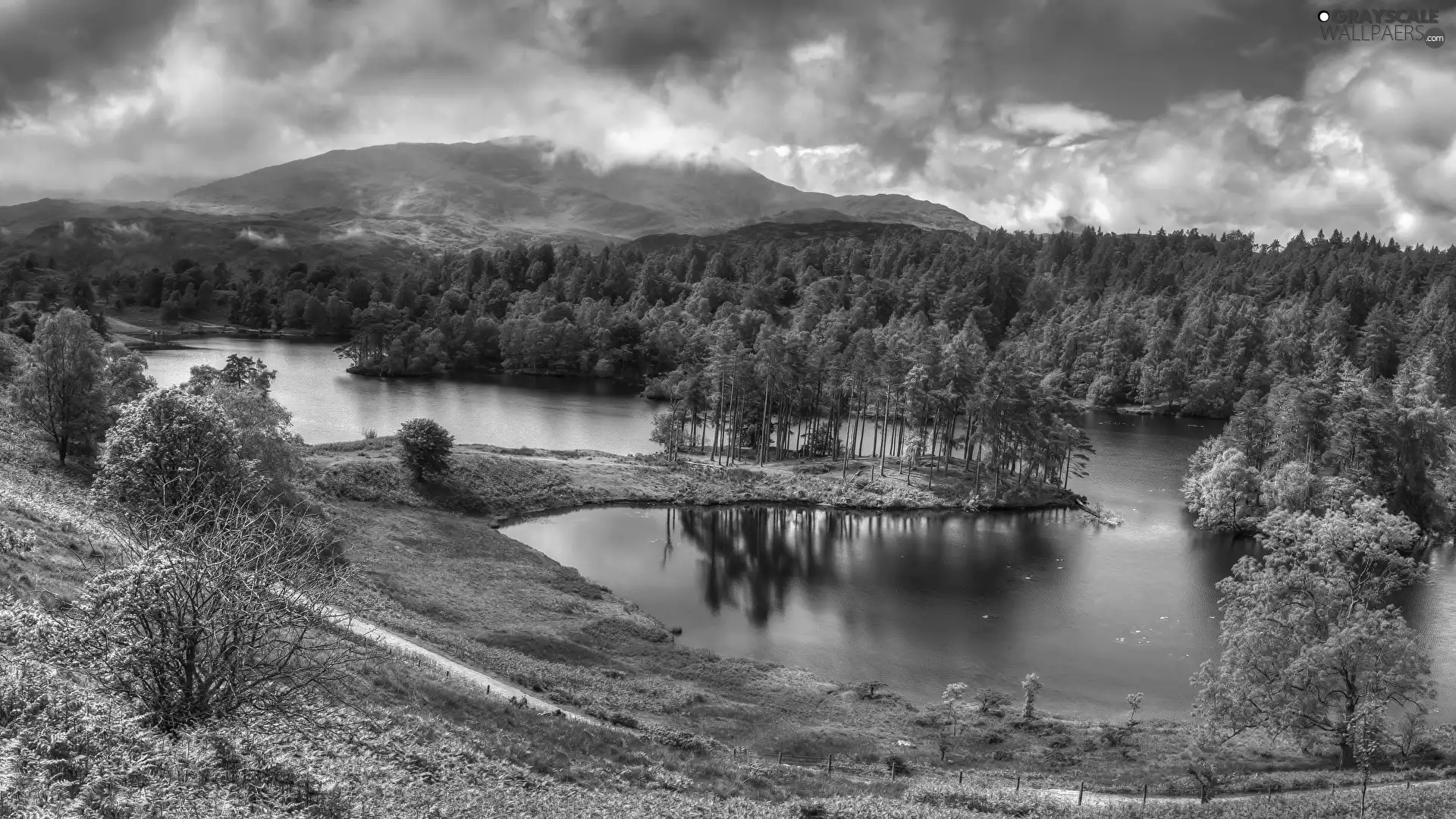 trees, viewes, summer, lake, clouds, woods, Mountains, grass