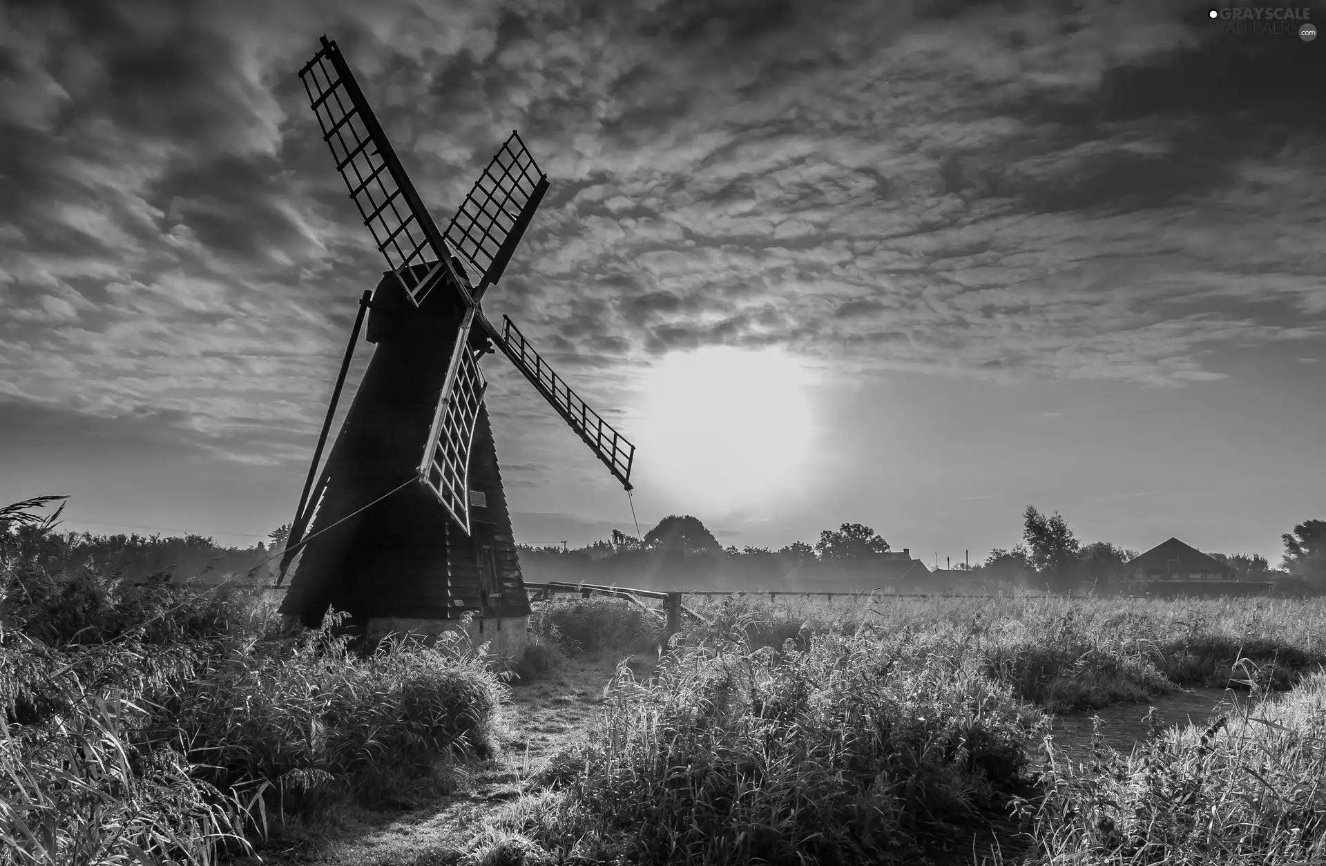 grass, Windmill, sun