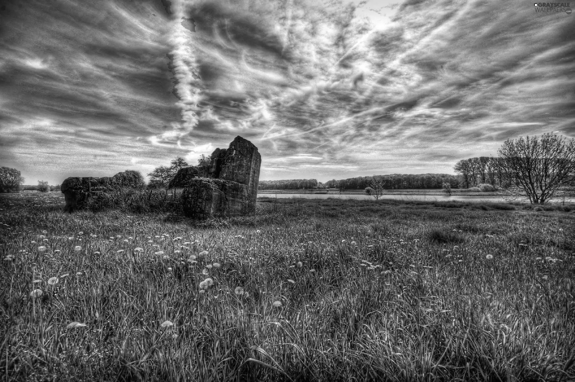 grass, clouds, Way