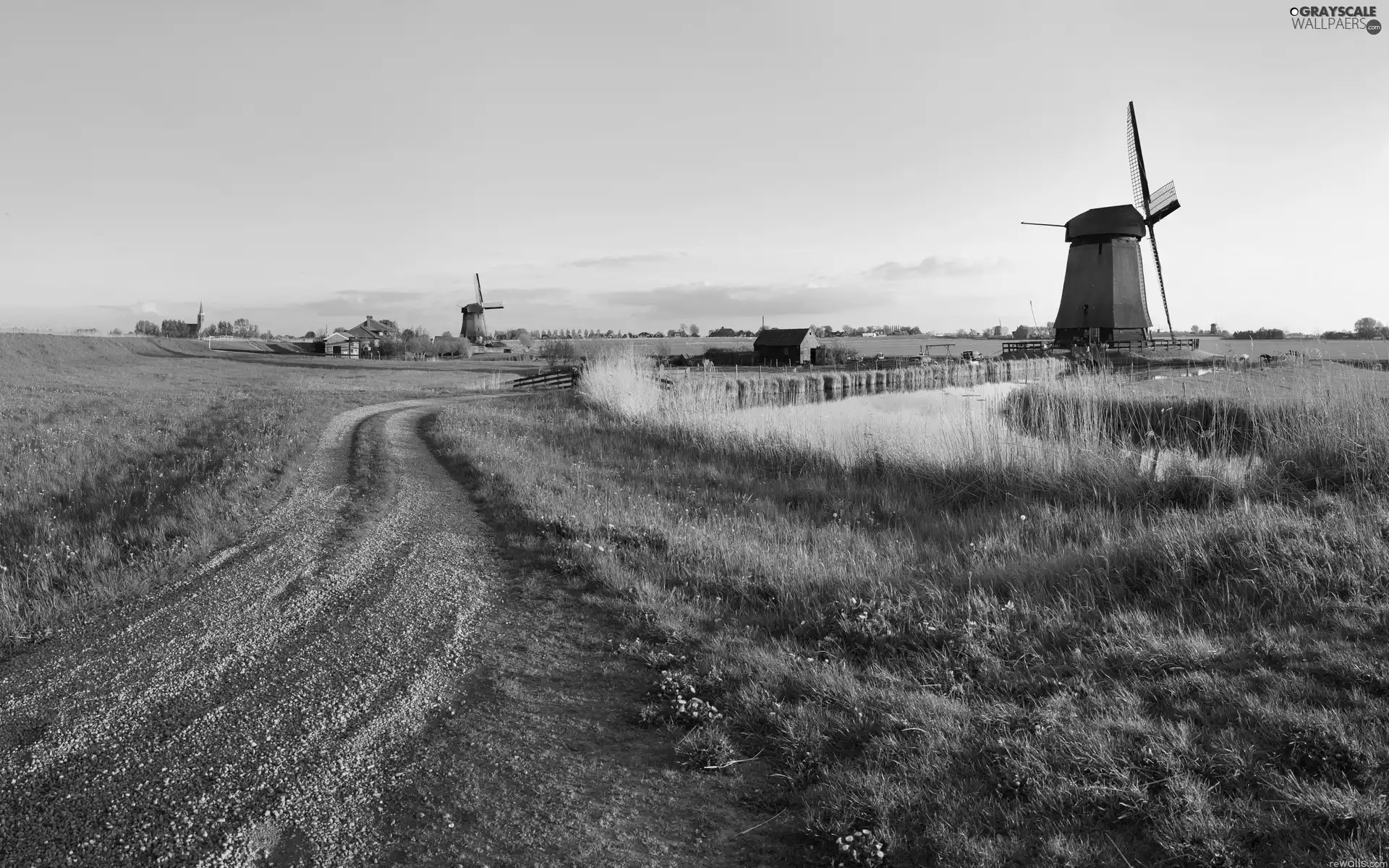 grass, Windmills, Way