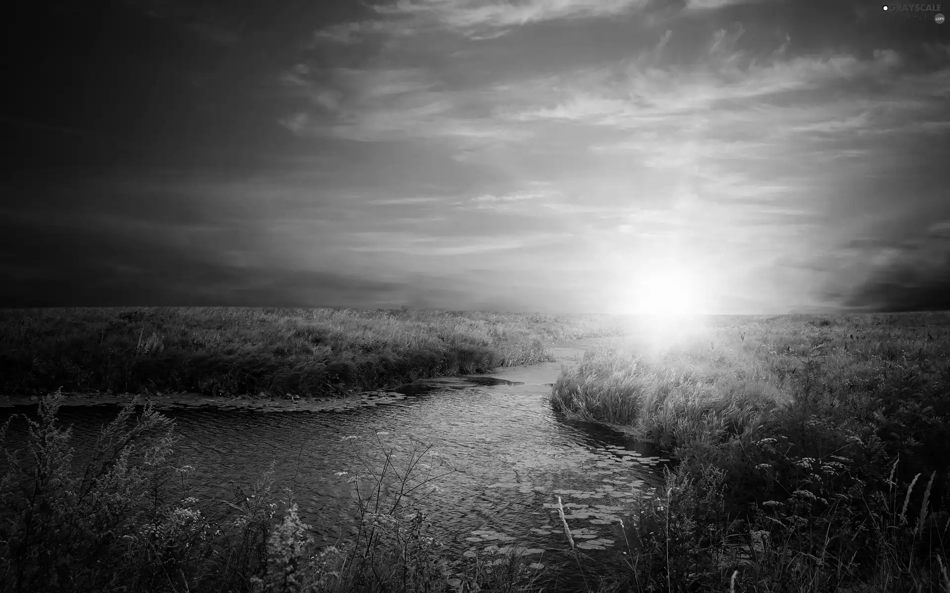 west, River, grass, sun