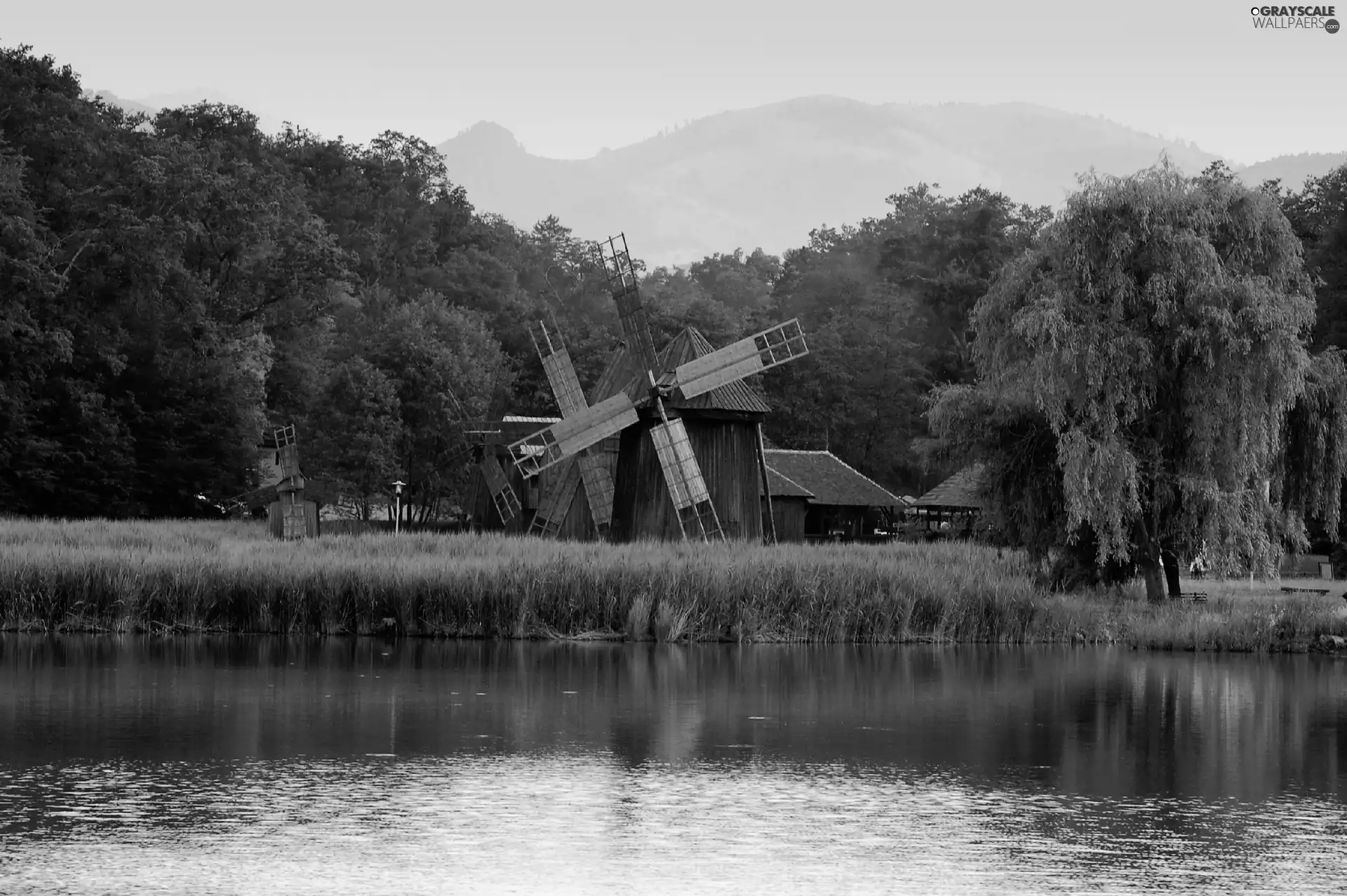 grass, Windmills, trees, viewes, River