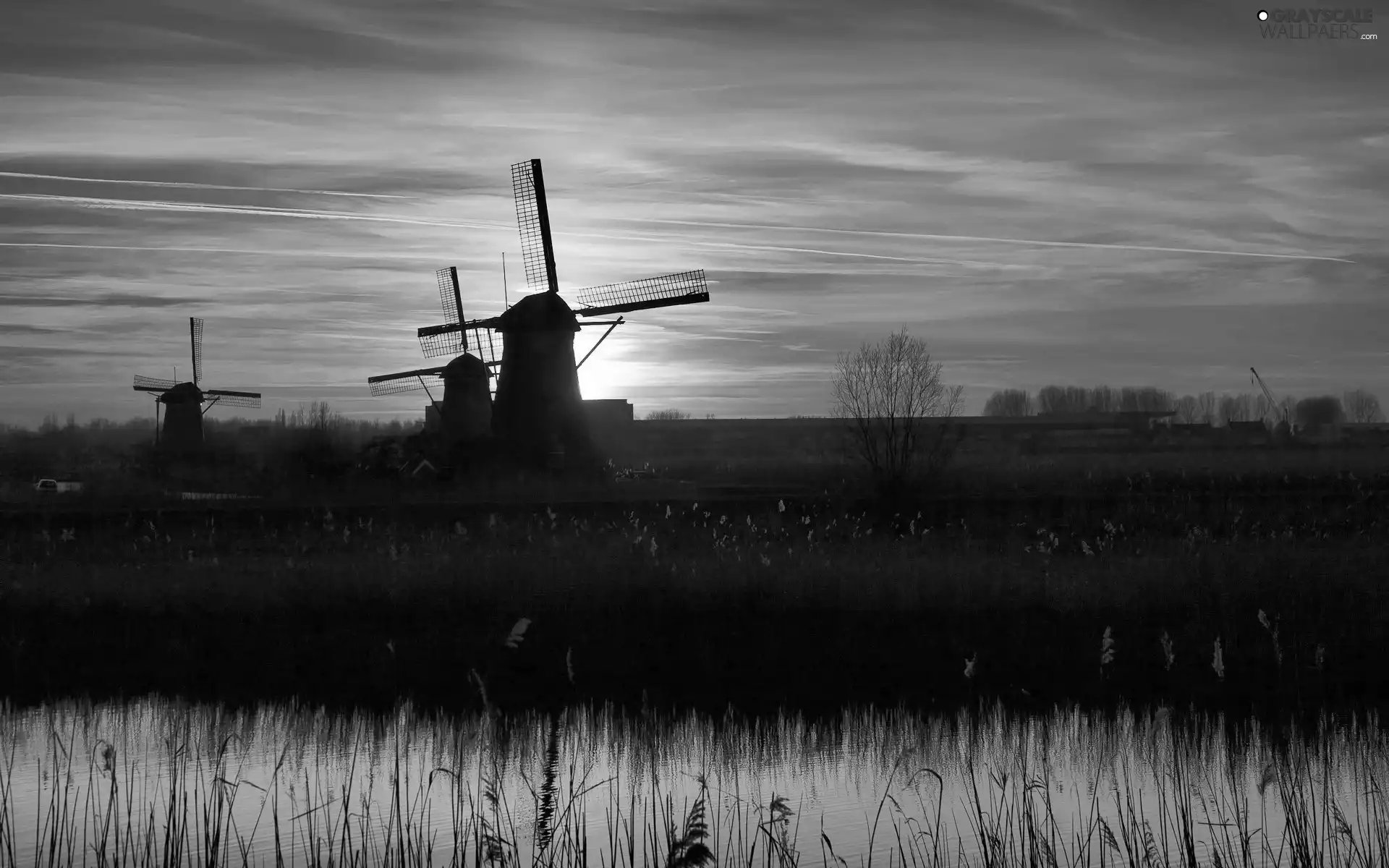 Windmills, sun, grass, west