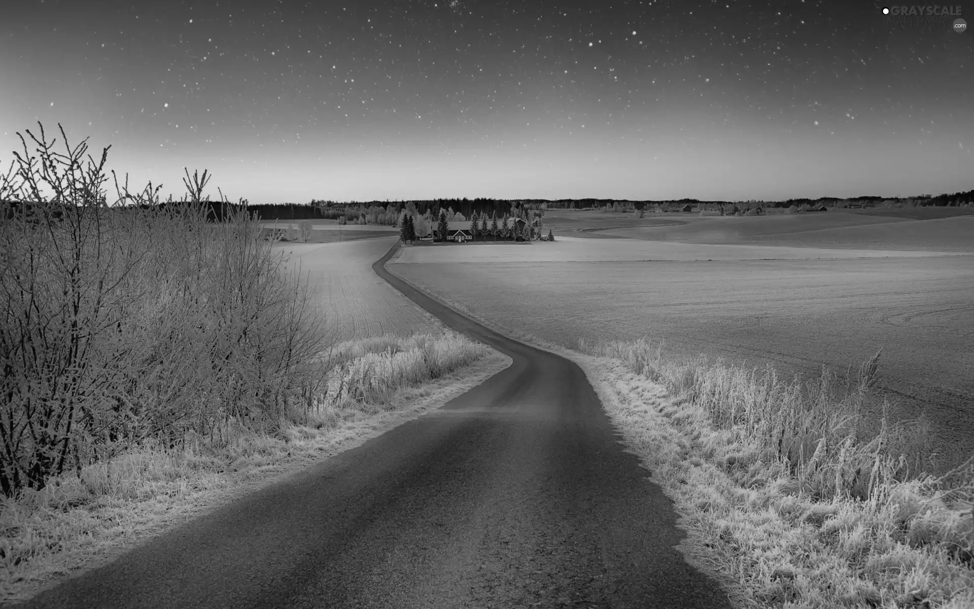 viewes, Houses, Dusk, trees, Way, grass, winter