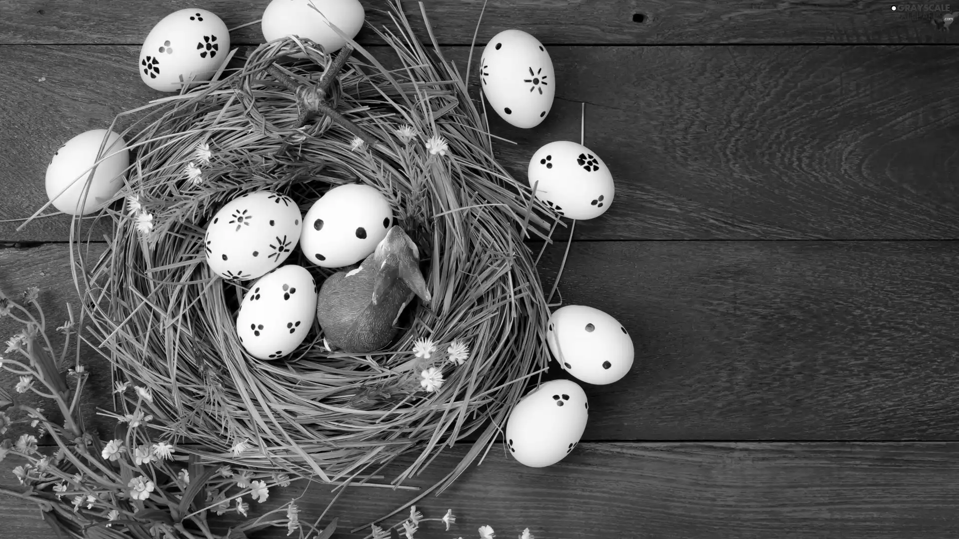 grass, Flowers, boarding, eggs, Wild Rabbit, wreath, Easter, figure