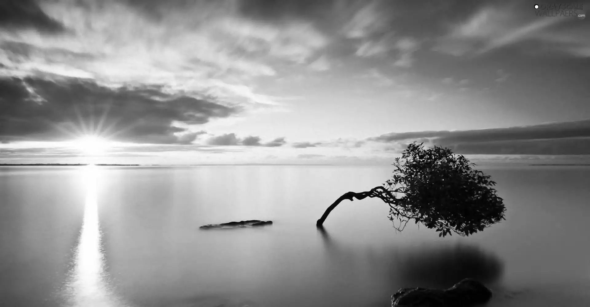 bent, lake, Great Sunsets, trees