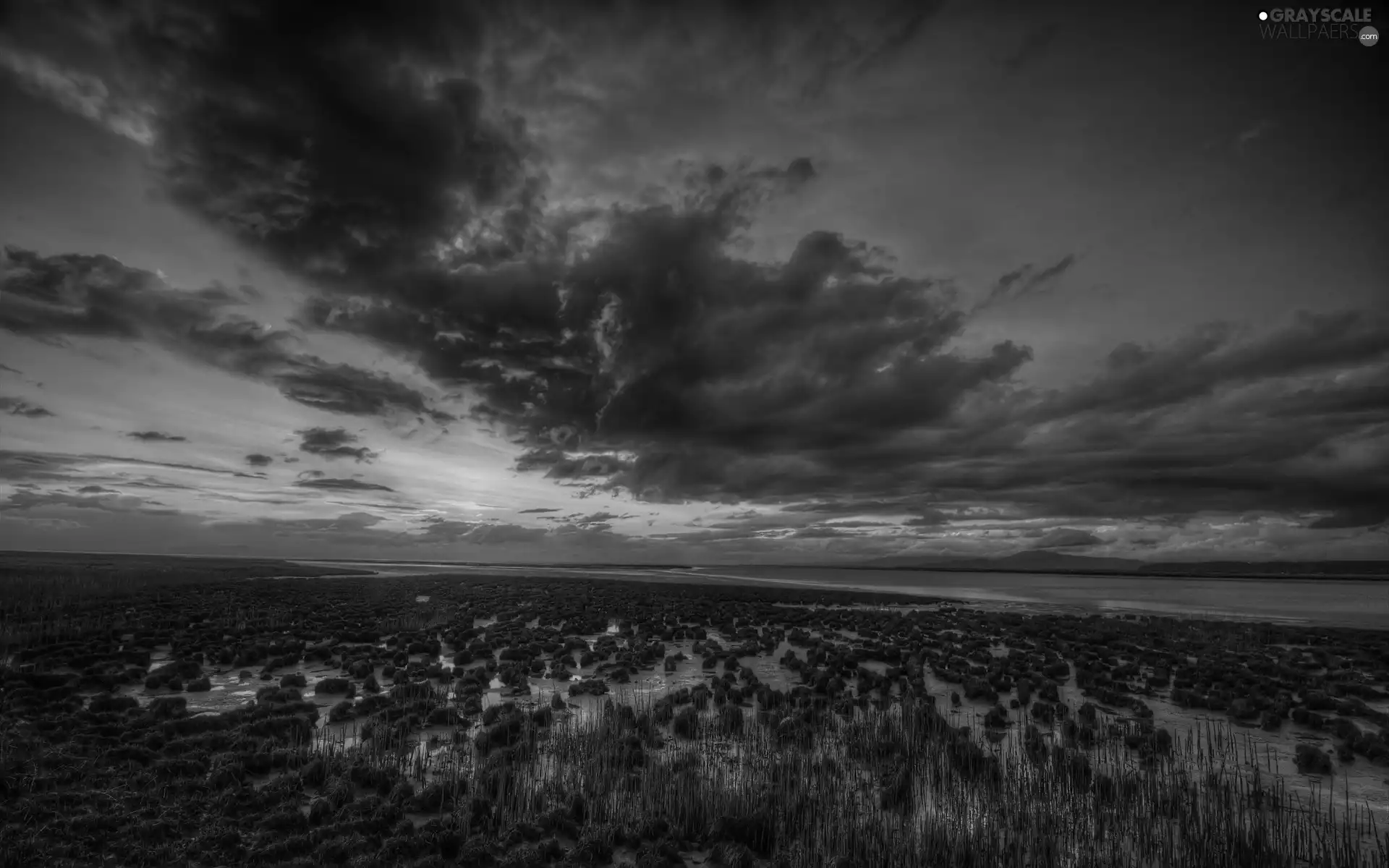 clouds, swamp, Great Sunsets
