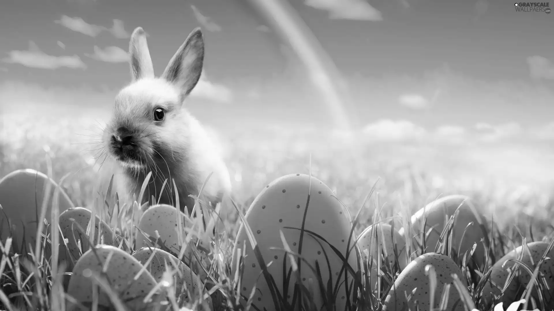 Easter, eggs, Great Rainbows, Rabbit