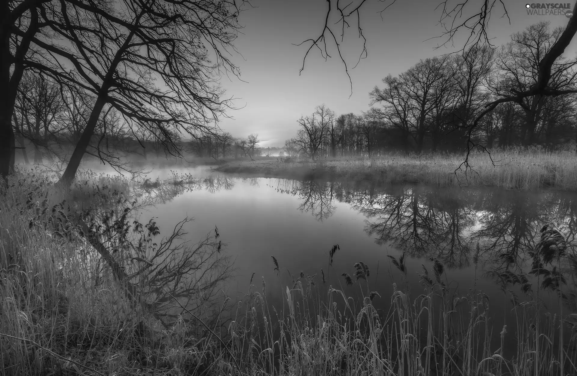 Great Sunsets, autumn, grass, trees, dry, Fog, lake, viewes