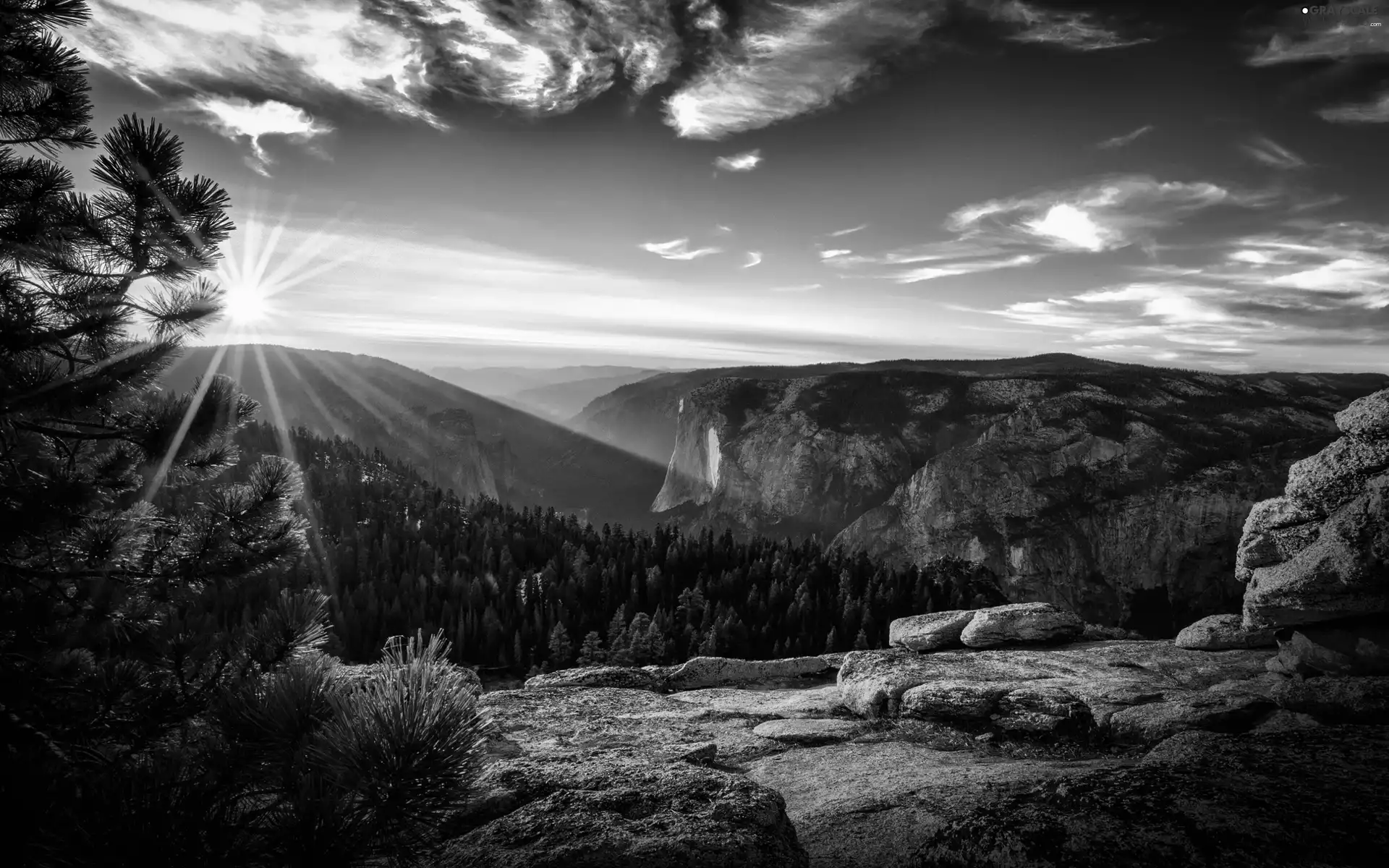 forest, Mountains, Great Sunsets