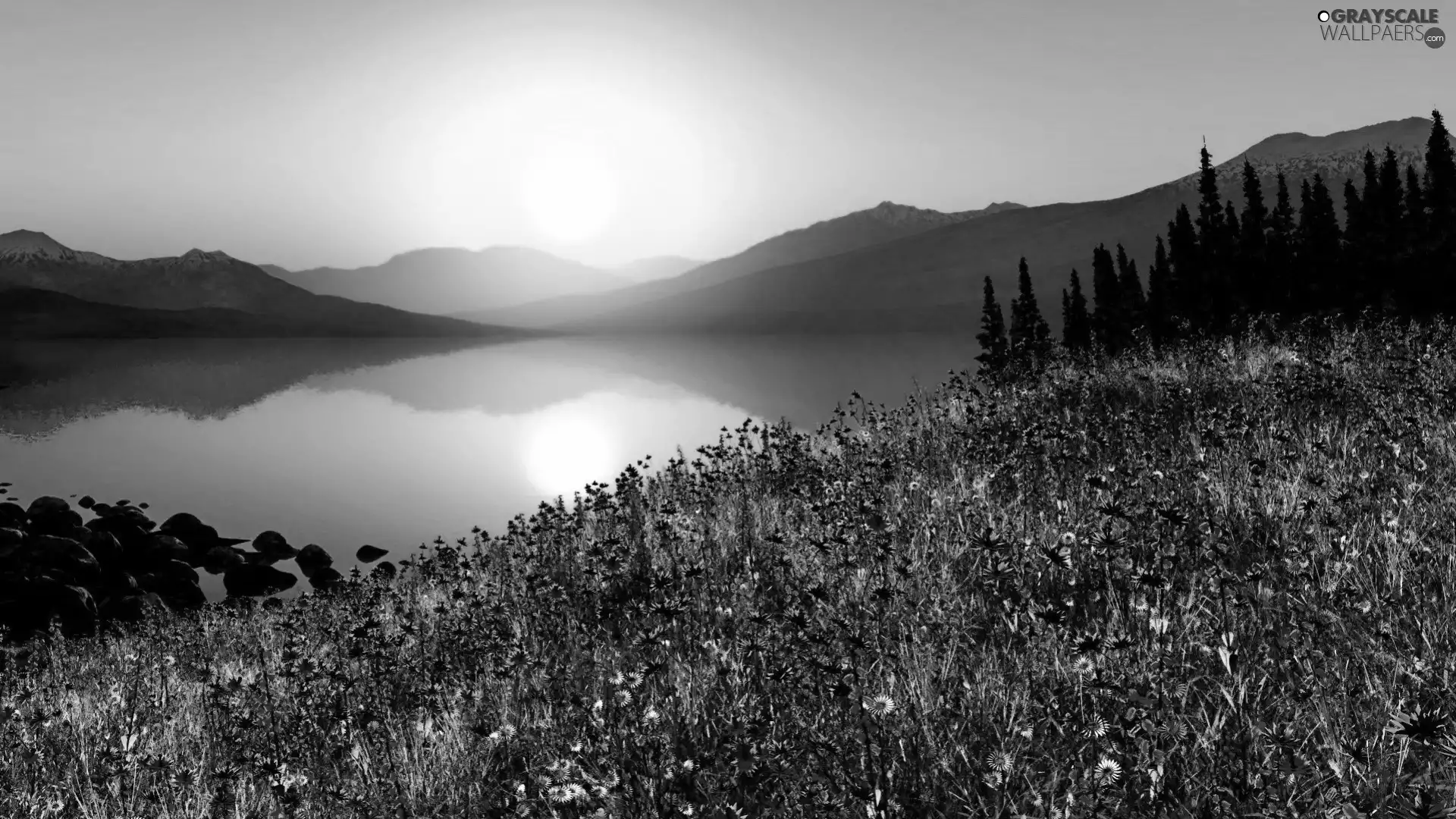 Great Sunsets, Meadow, lake, Flowers, Mountains