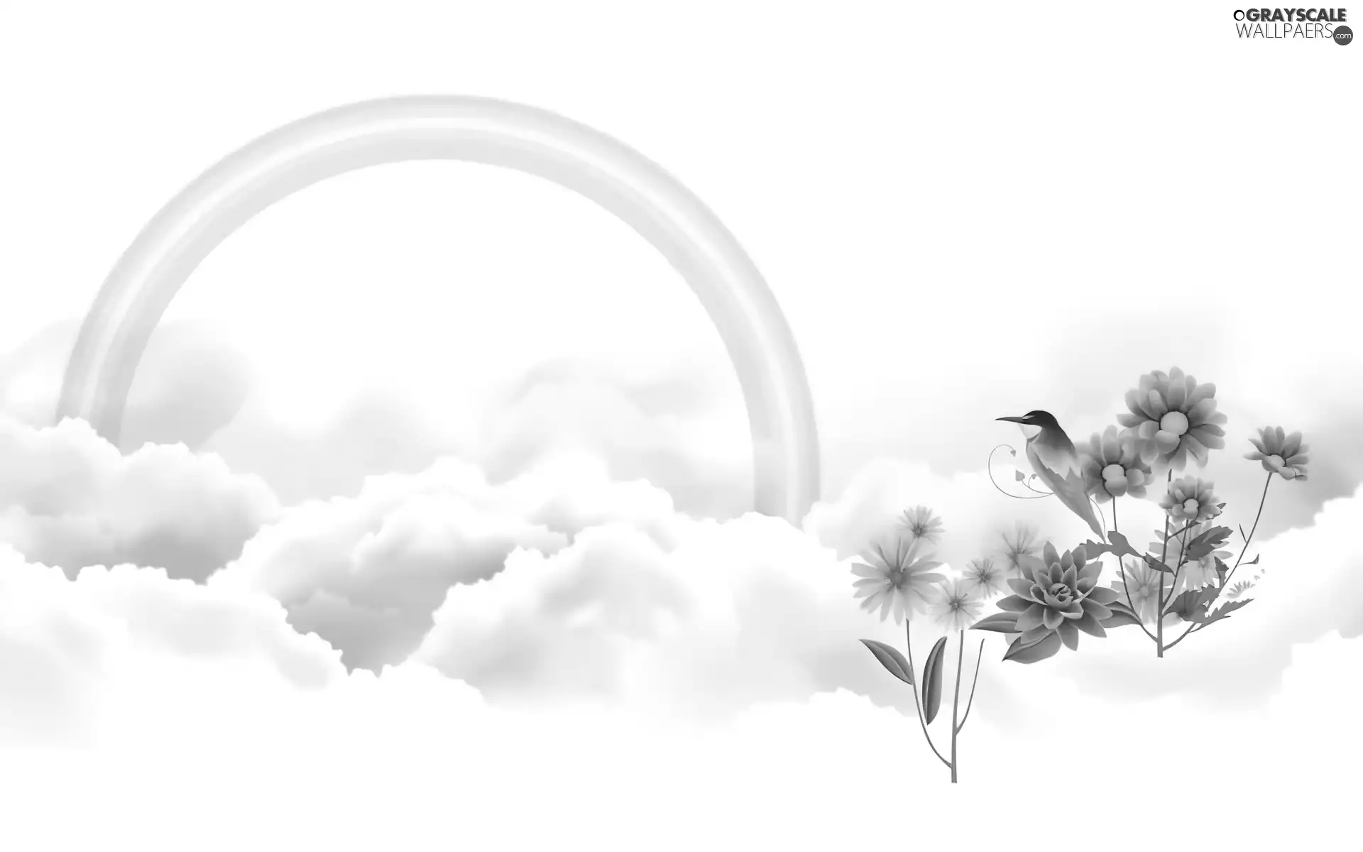 Flowers, Great Rainbows, clouds, Bird