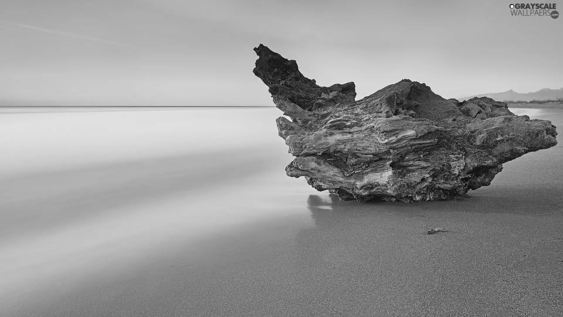 Great Sunsets, sea, Lod on the beach, trunk, Sand, Beaches