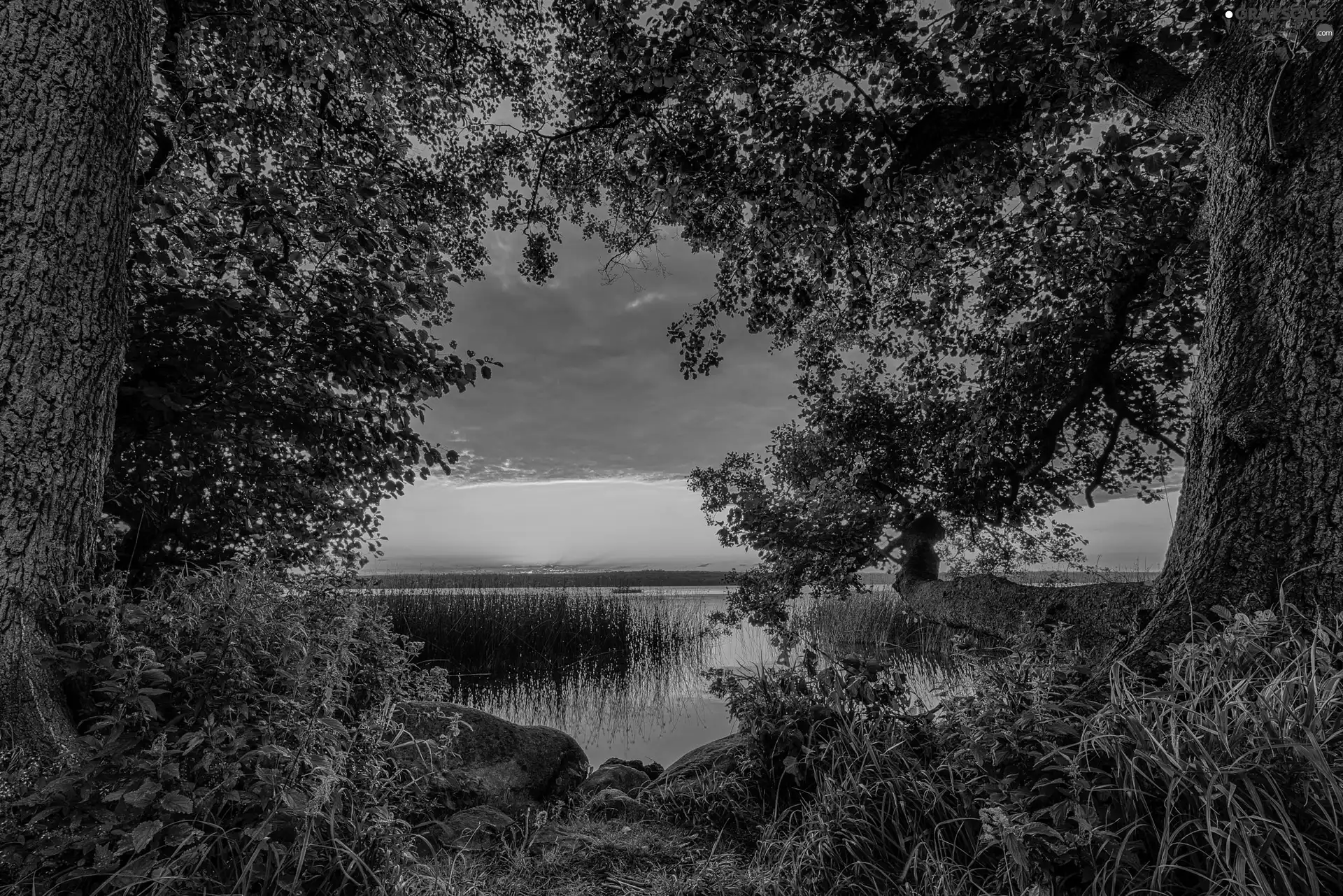 trees, lake, Stones, Great Sunsets, viewes, grass