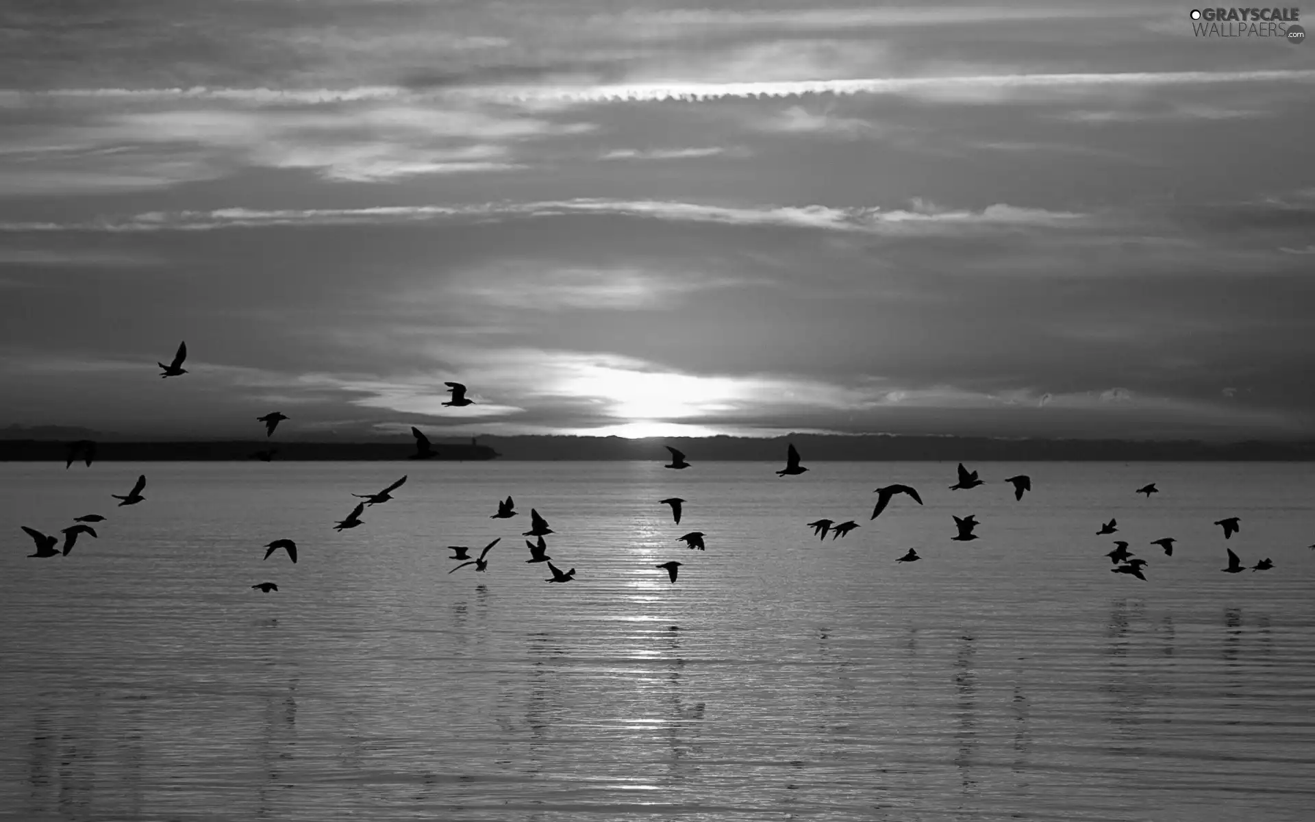 Great Sunsets