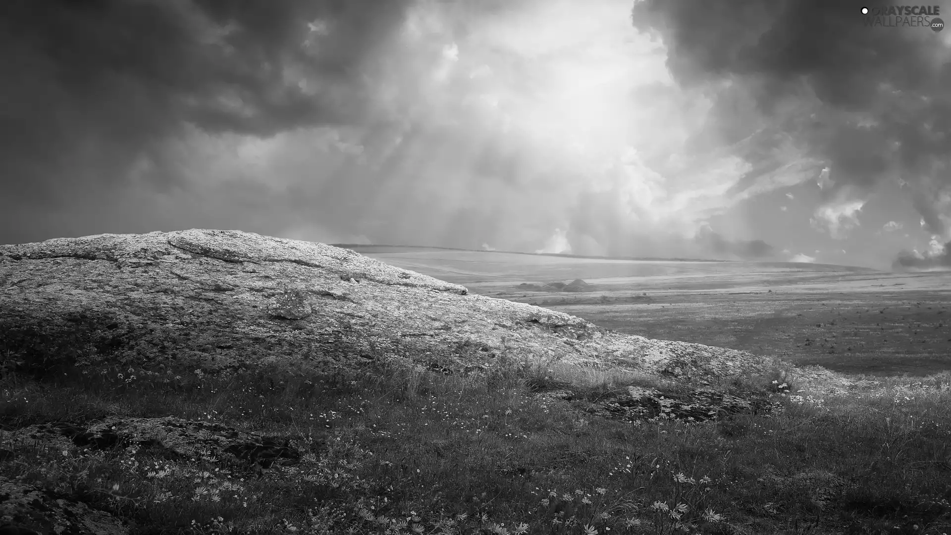 VEGETATION, Great Sunsets, Meadow, clouds