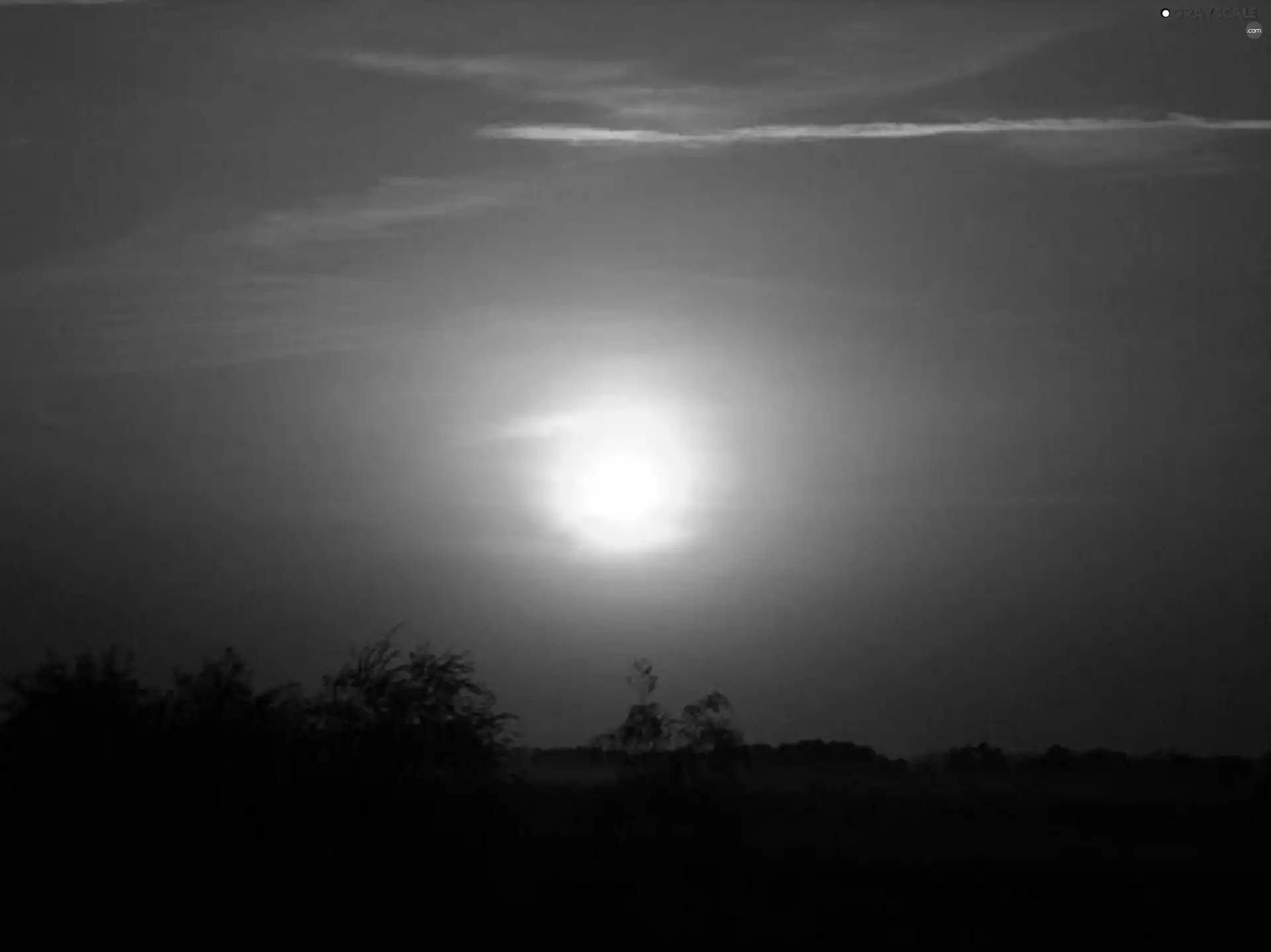 Great Sunsets
