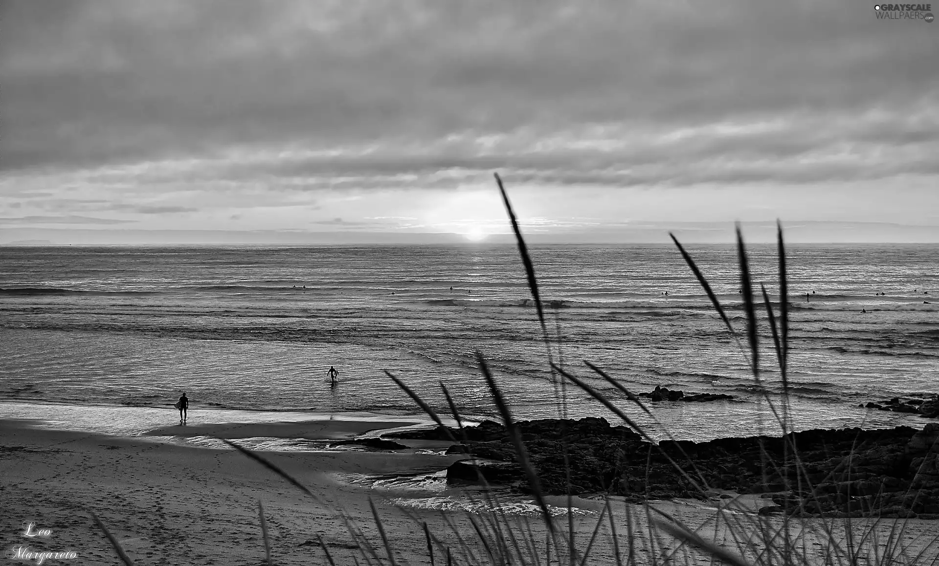 VEGETATION, sea, Great Sunsets