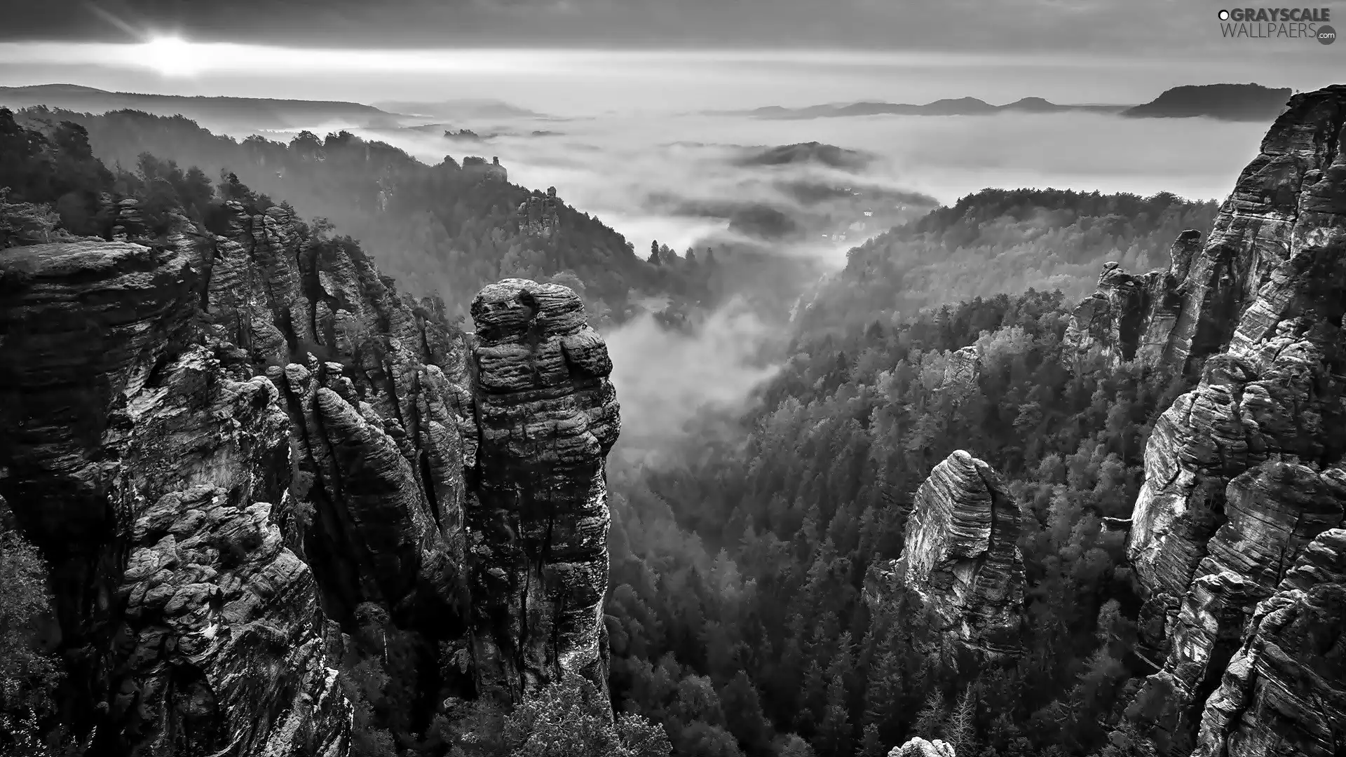 Great Sunsets, Mountains, viewes, Fog, trees, Alps