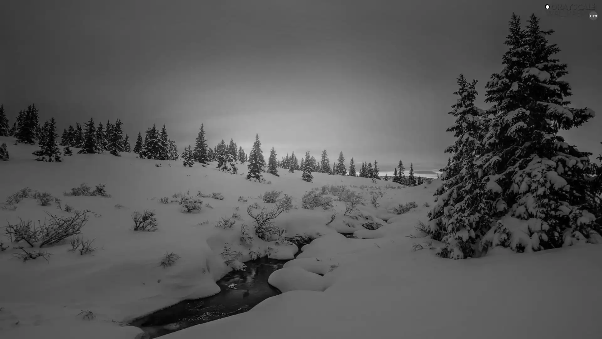 Great Sunsets, winter, viewes, River, trees, snow