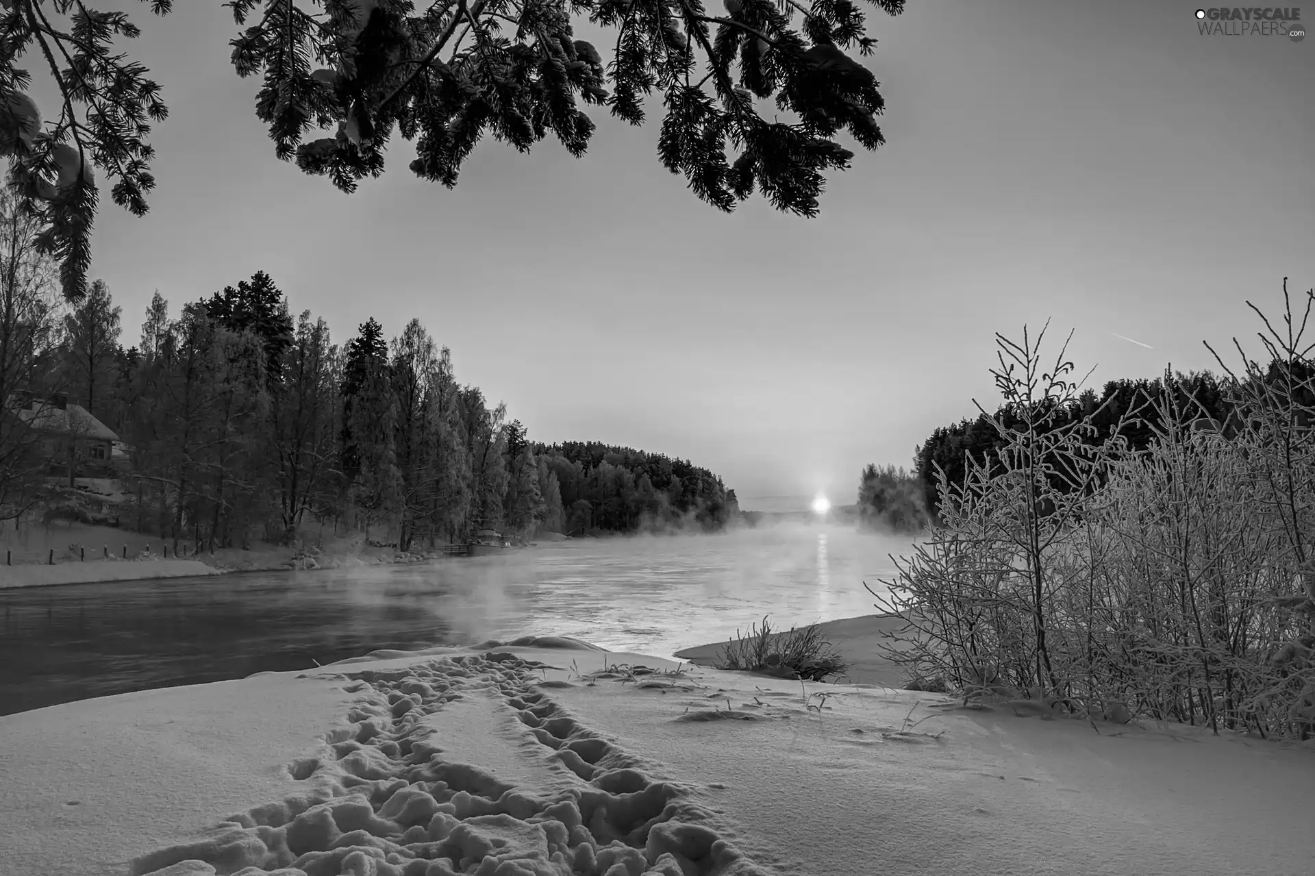 winter, River, Great Sunsets, woods