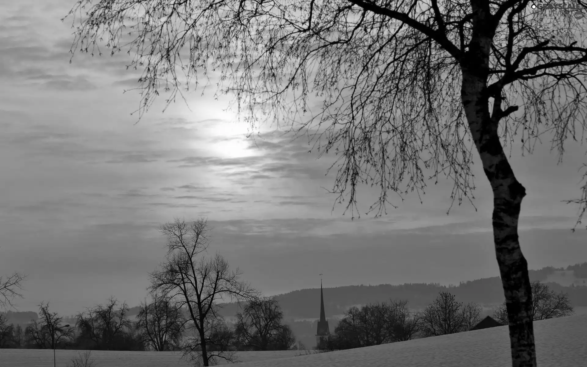 Great Sunsets, winter, trees, viewes, field