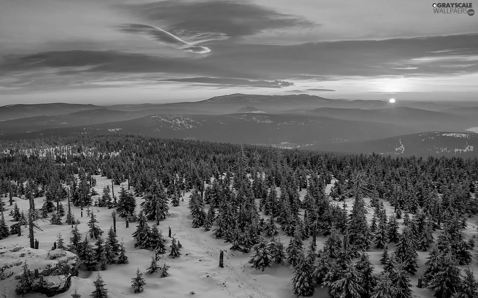 winter, woods, Great Sunsets, Mountains