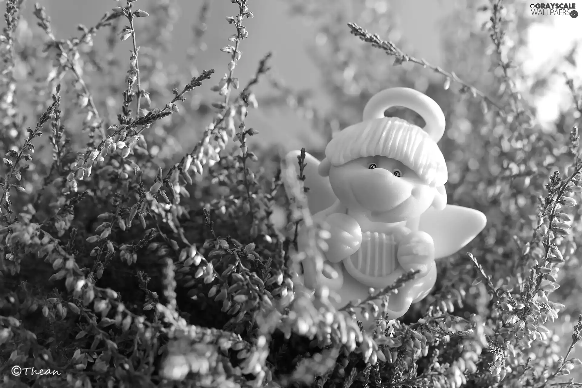 angel, heather, Green, figure