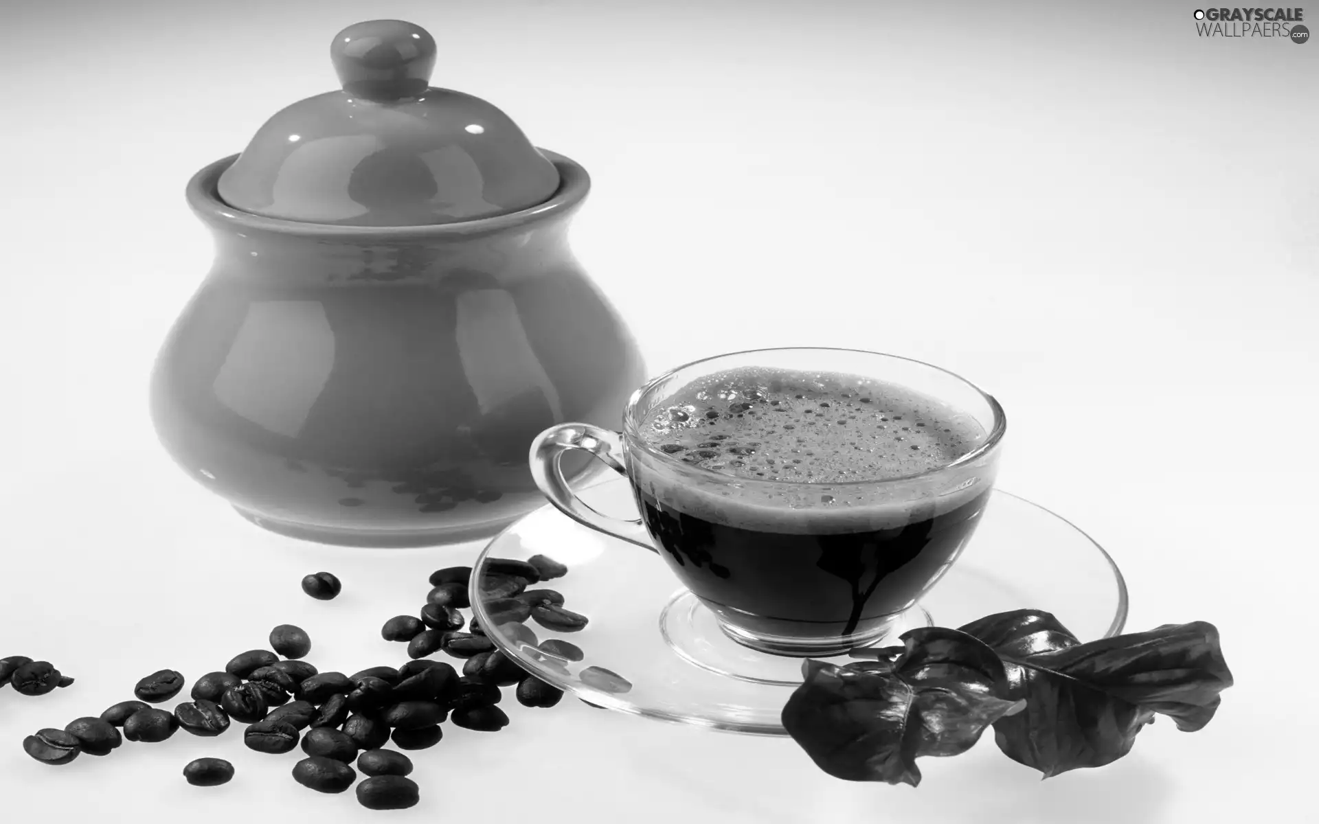 Green, sugar bowl, coffee, grains, cup