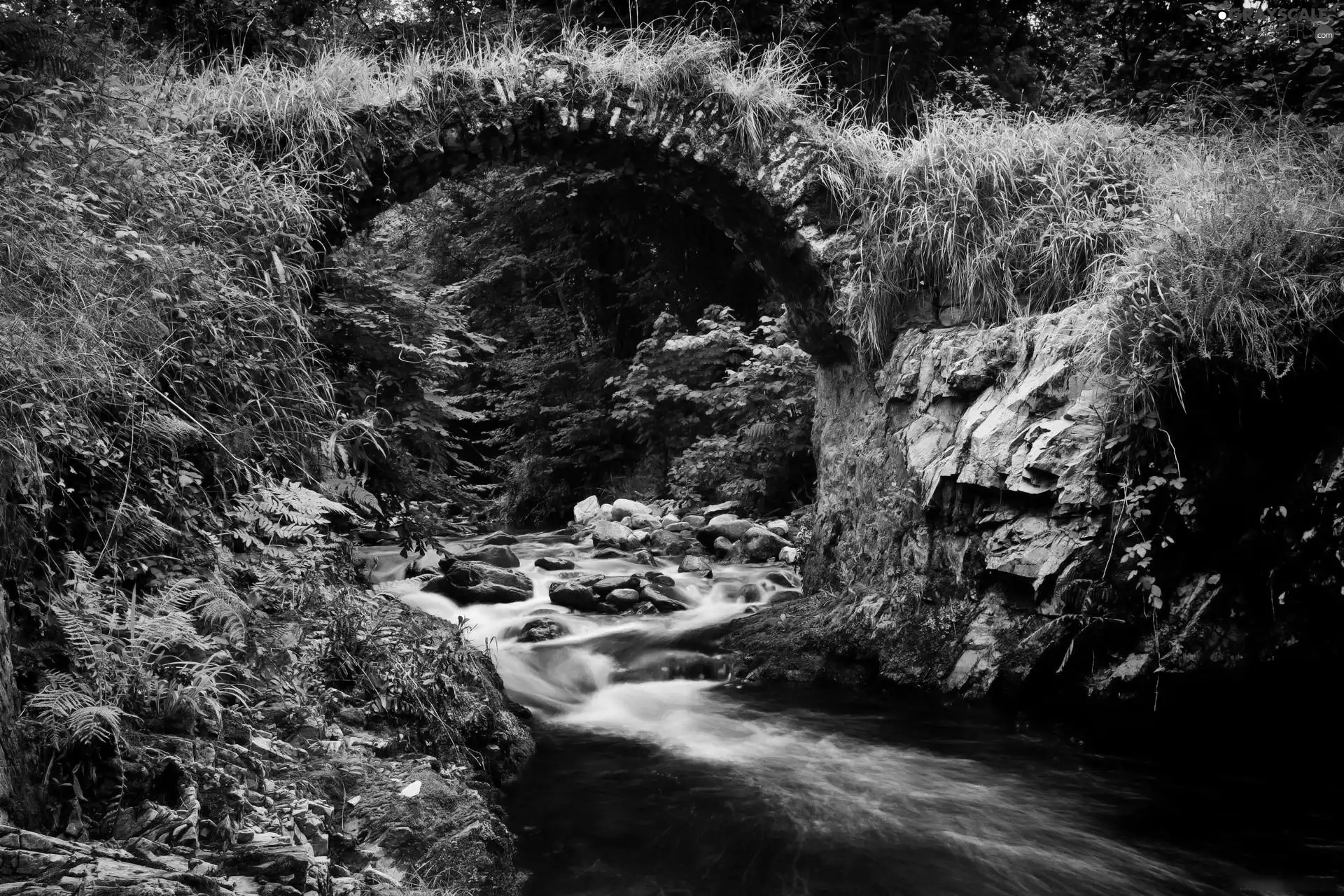 brook, bridge, green, stone