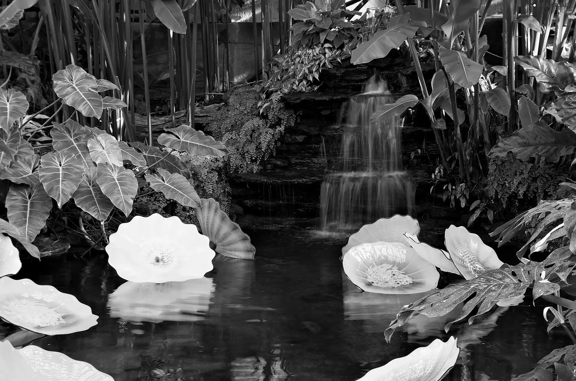Garden, Plants, green, cascade