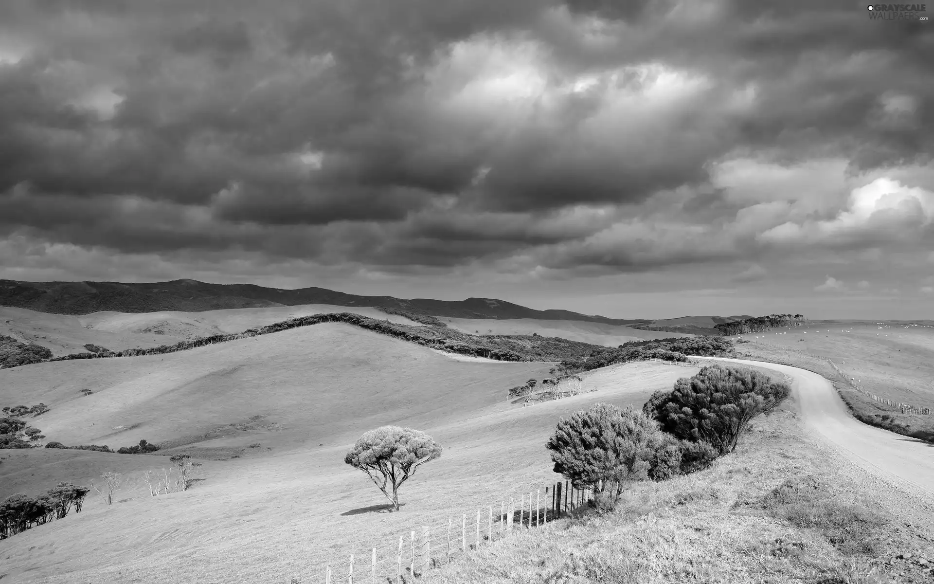 green ones, medows, dark, clouds, Way