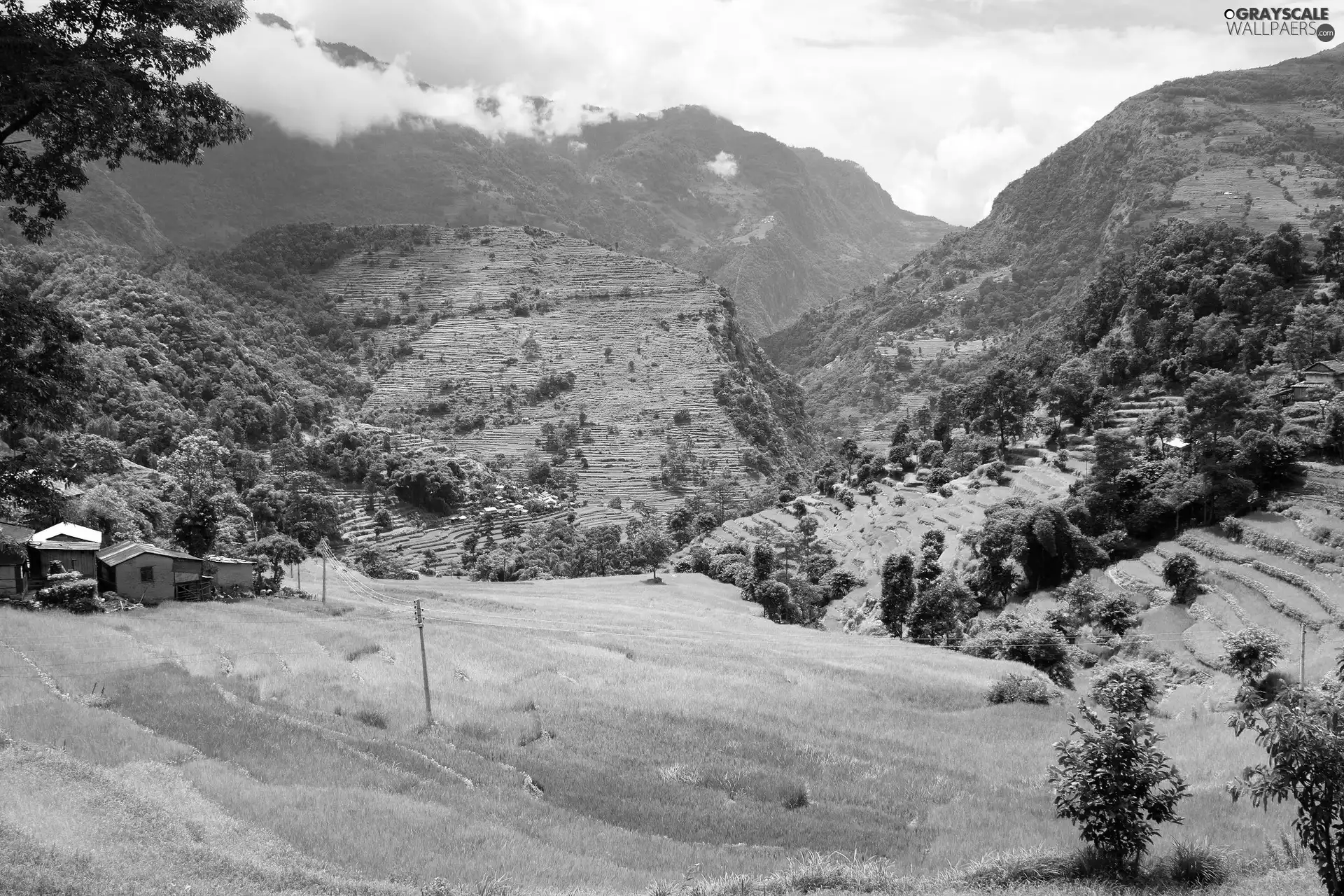 Mountains, green