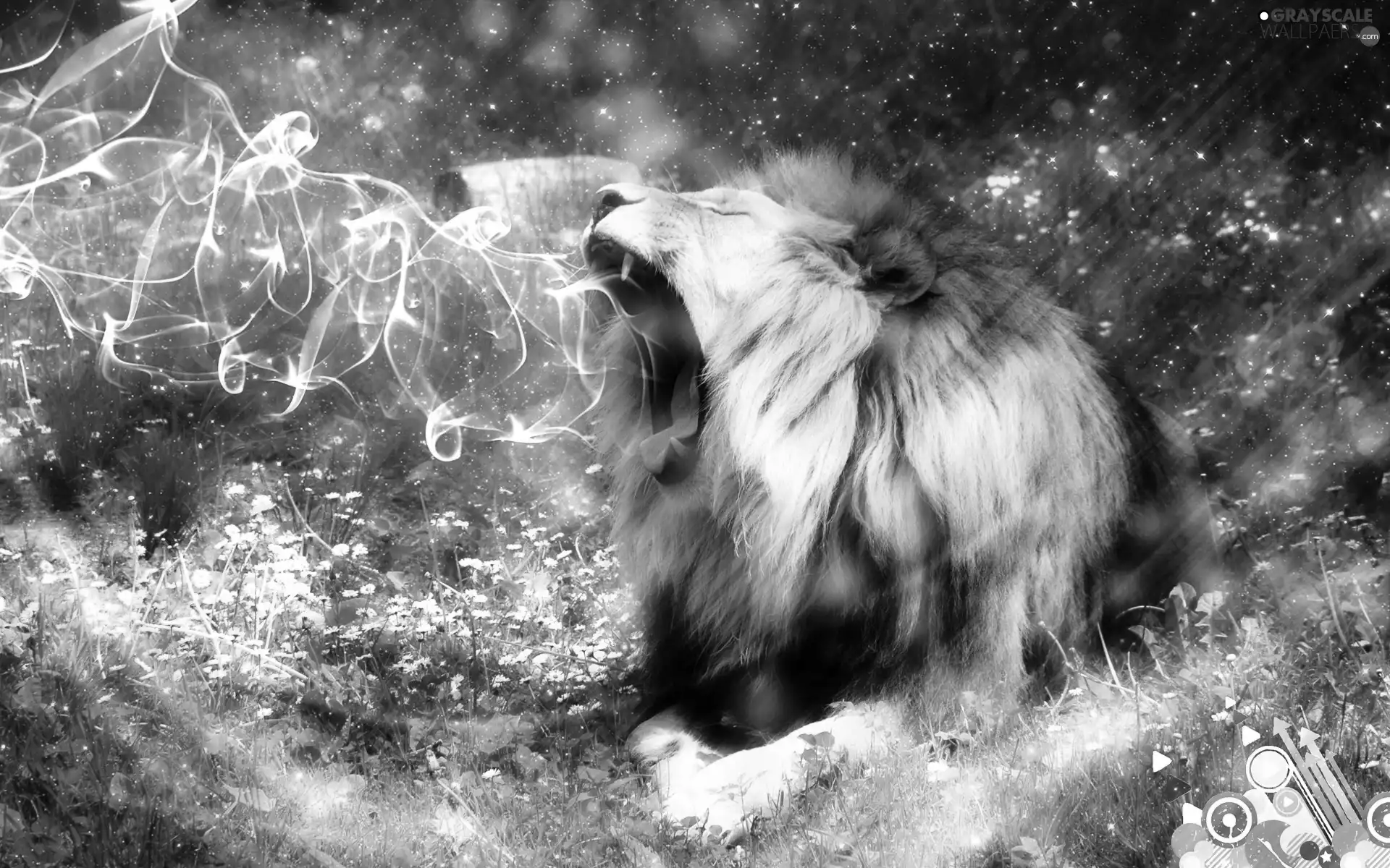 green, Lion, roar