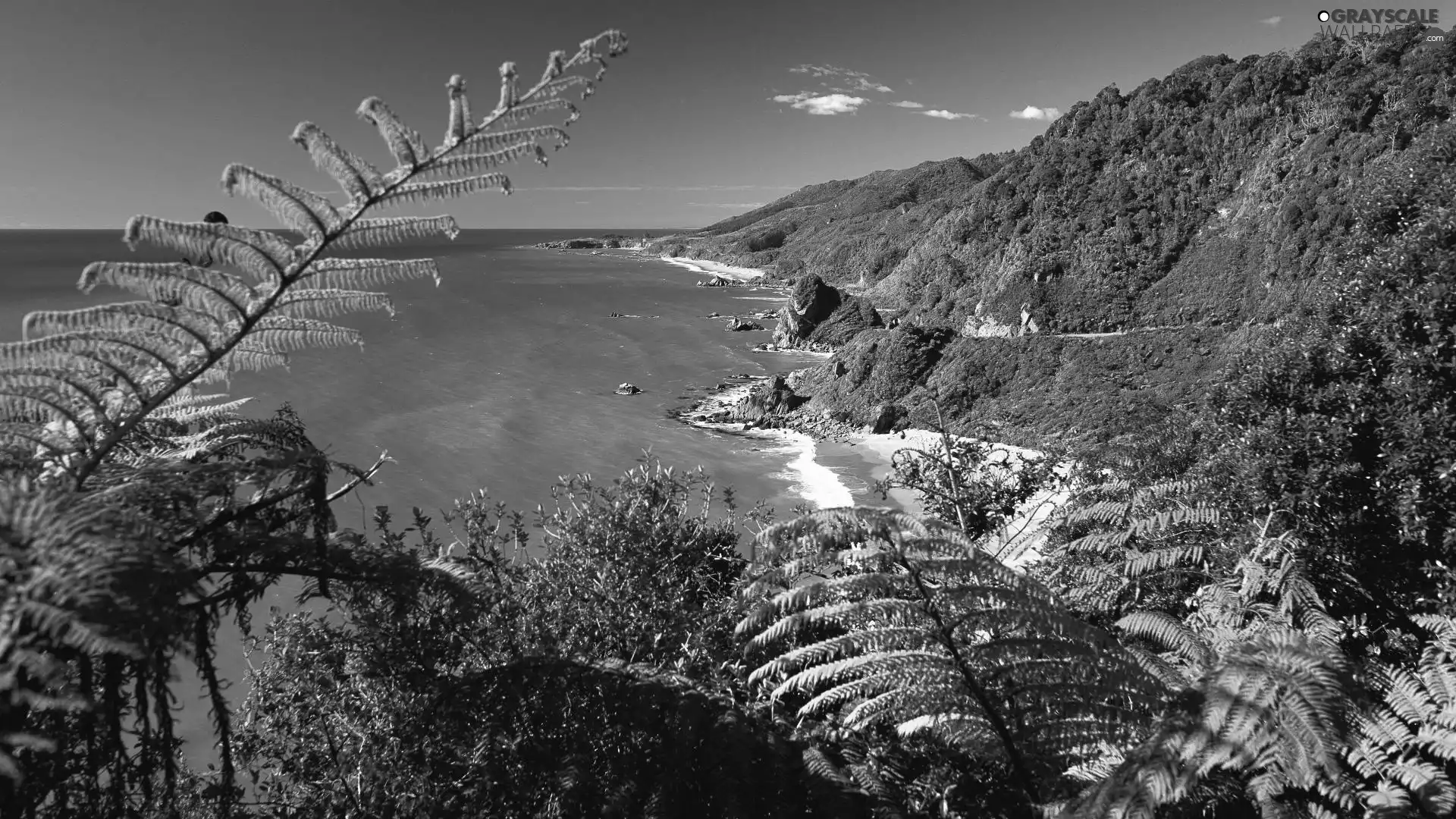 New Zeland, Sea Mountain, green