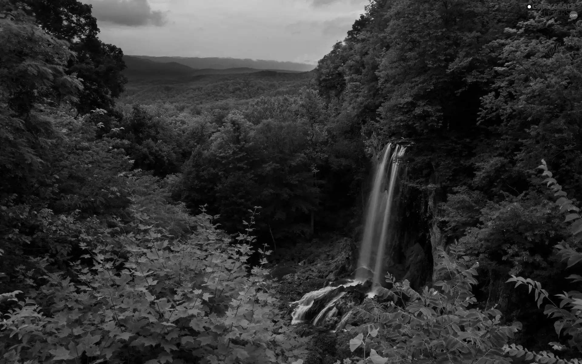 waterfall, viewes, green, trees