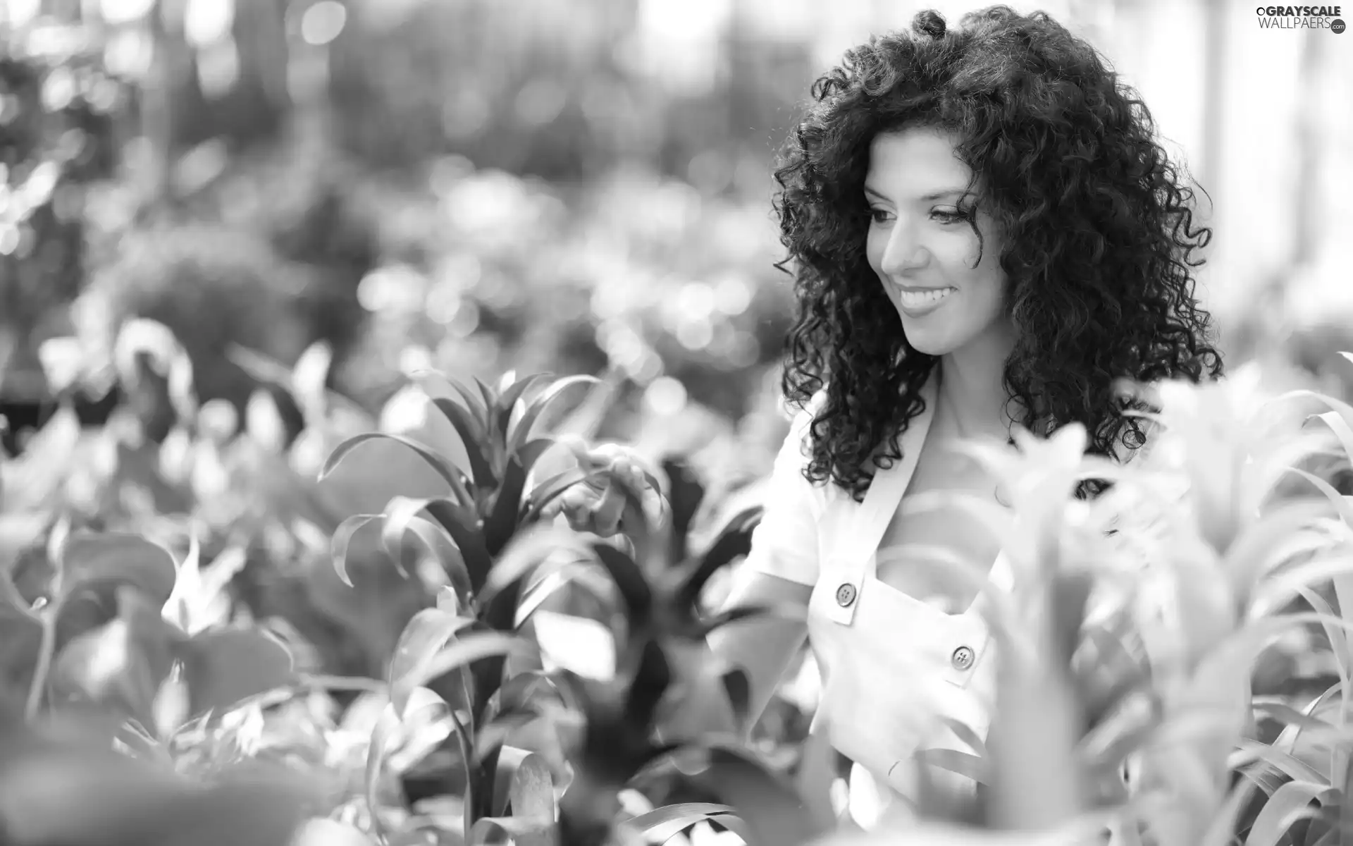 greenhouse, Flowers, smiling, brunette, Beauty