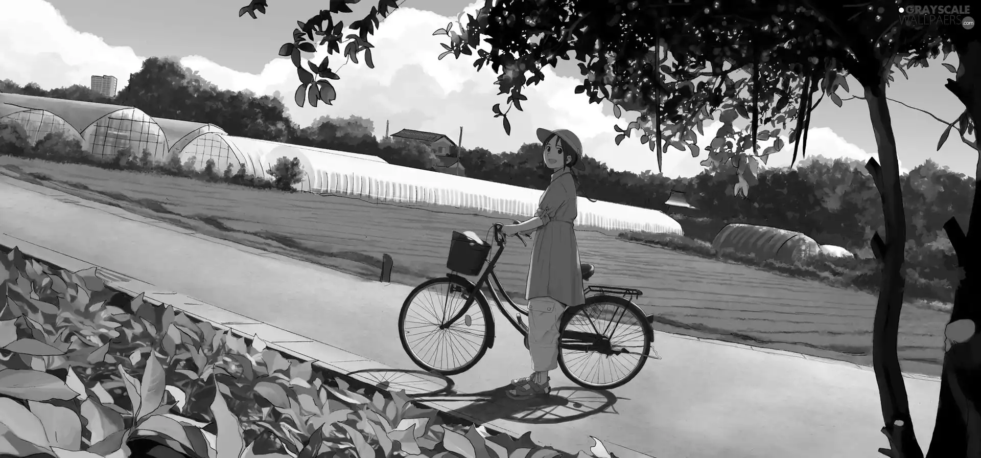 Manga, Women, greenhouse, Bike