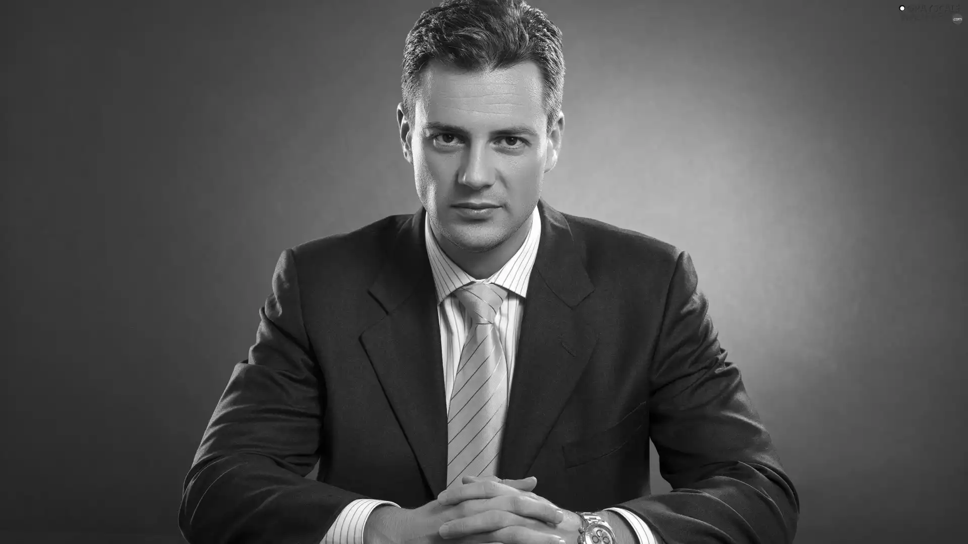 a man, Tie, Grey Background, suite