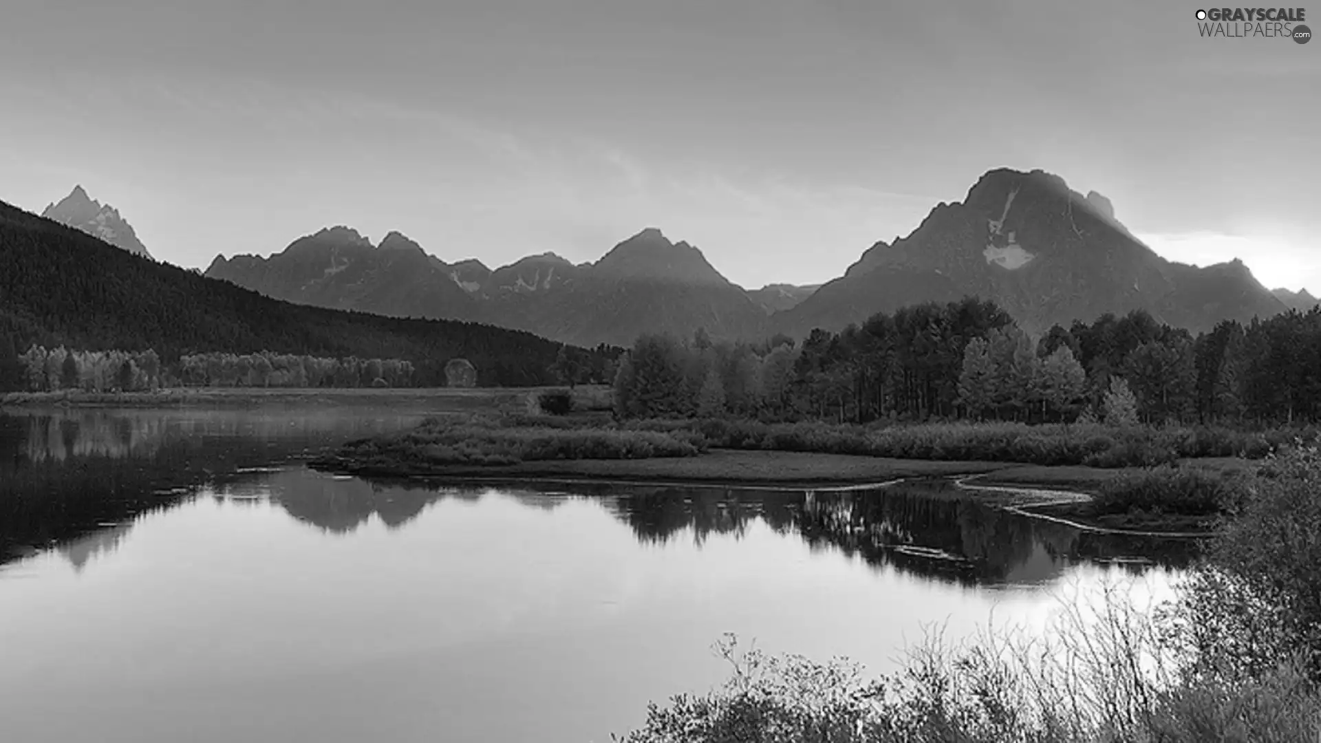 grove, Mountains, lake
