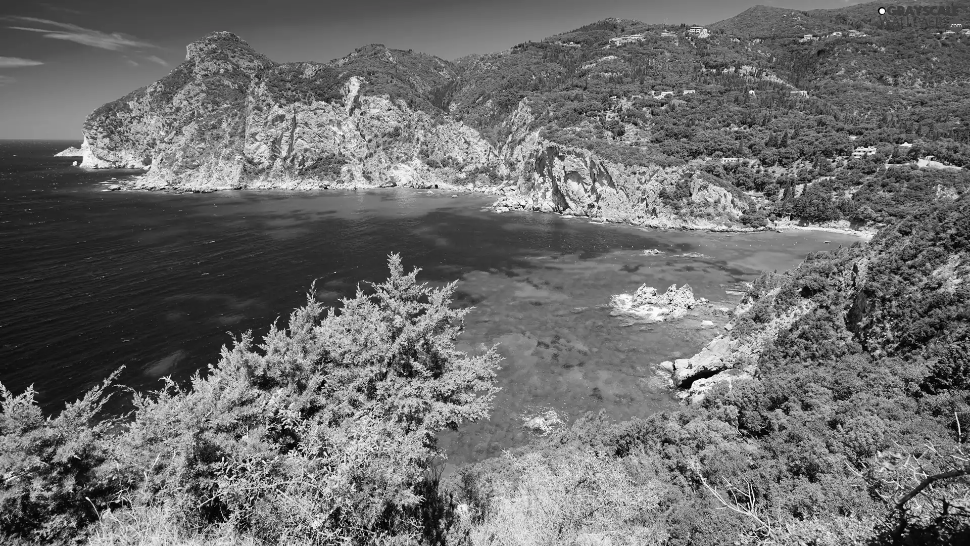 Coast, rocks, viewes, Gulf, sea, trees, VEGETATION