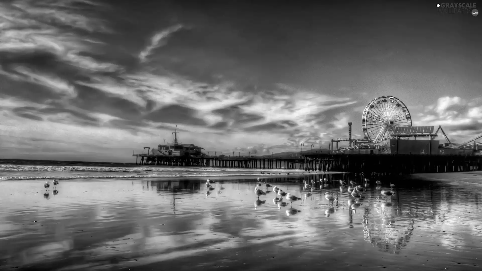 gulls, pier, Beaches